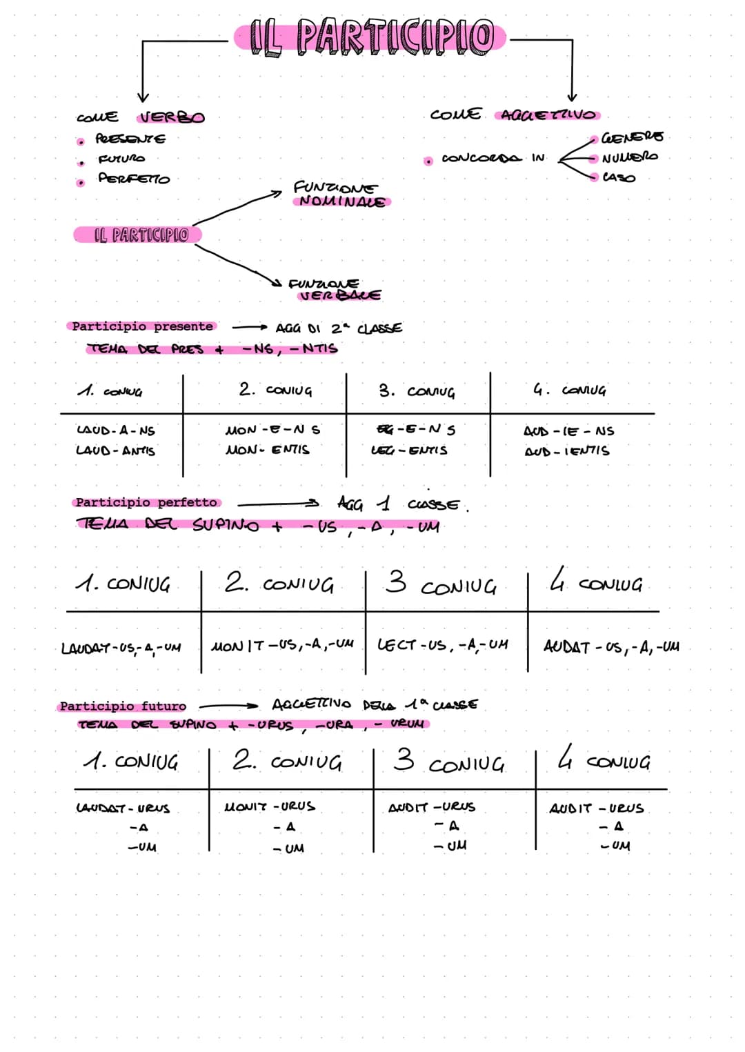 # IL PARTICIPIO
COME VERBO
- PRESENTE
- FUTURO
- PERFETTO
IL PARTICIPIO
COME AGGETTIVO
- CONCORDA IN
- GENERE
- NUMERO
- CASO
FUNZ