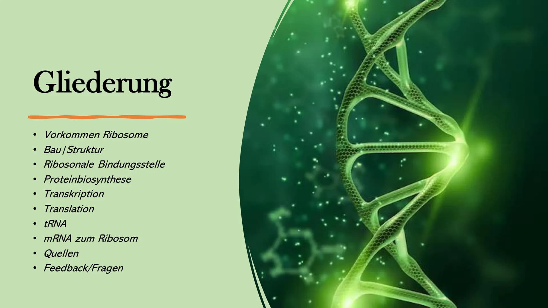 # Ribosome # Gliederung
* Vorkommen Ribosome
* Bau | Struktur
* Ribosonale Bindungsstelle
* Proteinbiosynthese
* Transkription
*