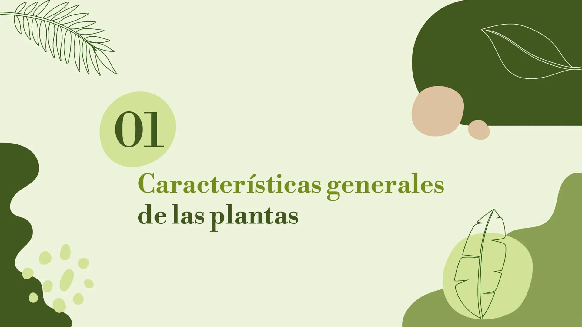 # Trabajo sobre
plantas
Raluca Mihaela Cuibaru Indice
Características generales
01. de las plantas
Función de nutrición en
03. plantas
F