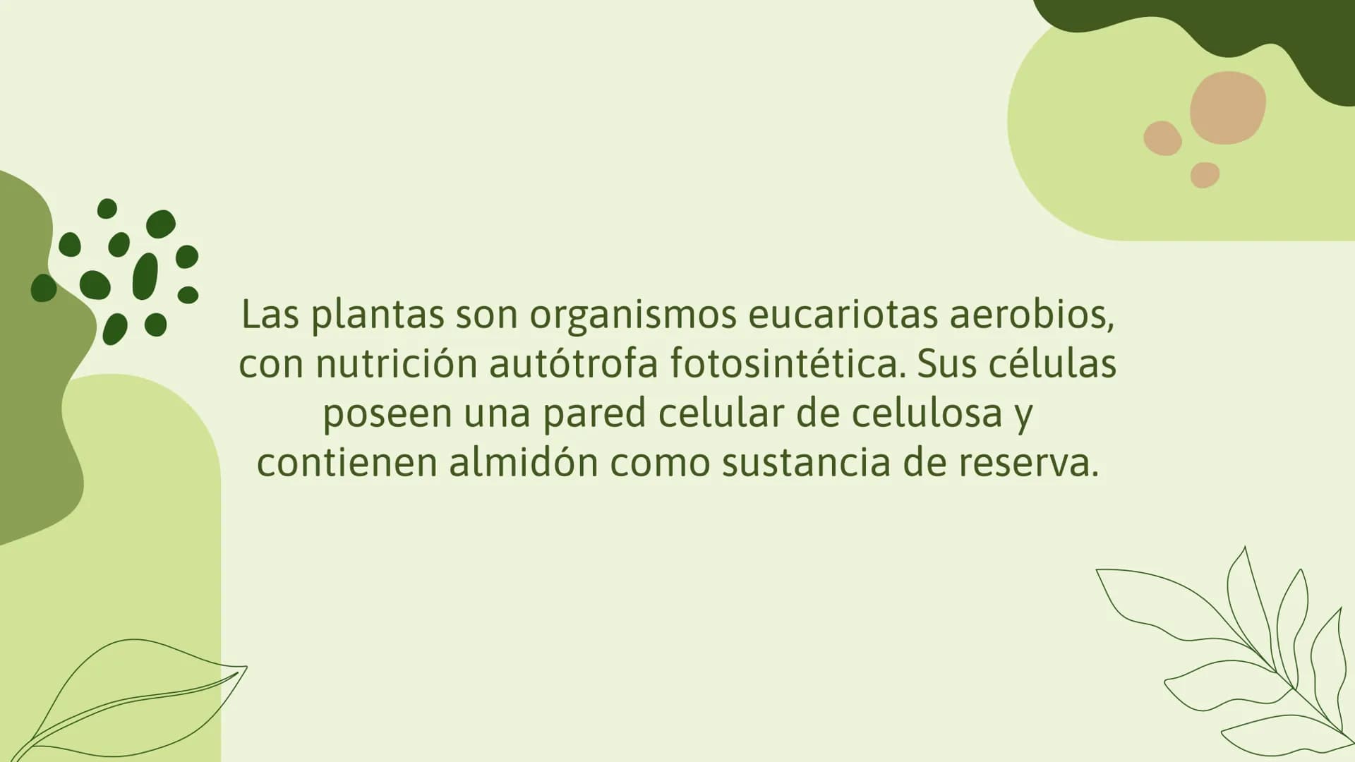 # Trabajo sobre
plantas
Raluca Mihaela Cuibaru Indice
Características generales
01. de las plantas
Función de nutrición en
03. plantas
F