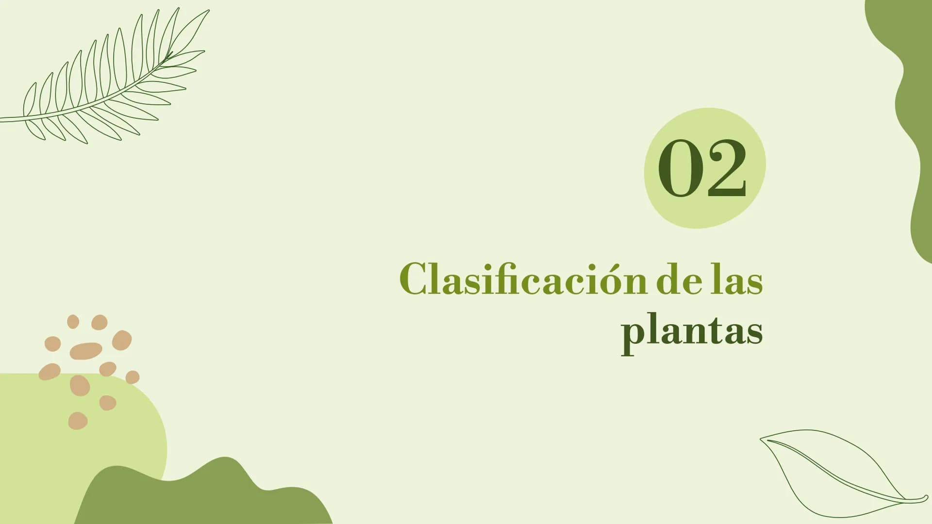 # Trabajo sobre
plantas
Raluca Mihaela Cuibaru Indice
Características generales
01. de las plantas
Función de nutrición en
03. plantas
F
