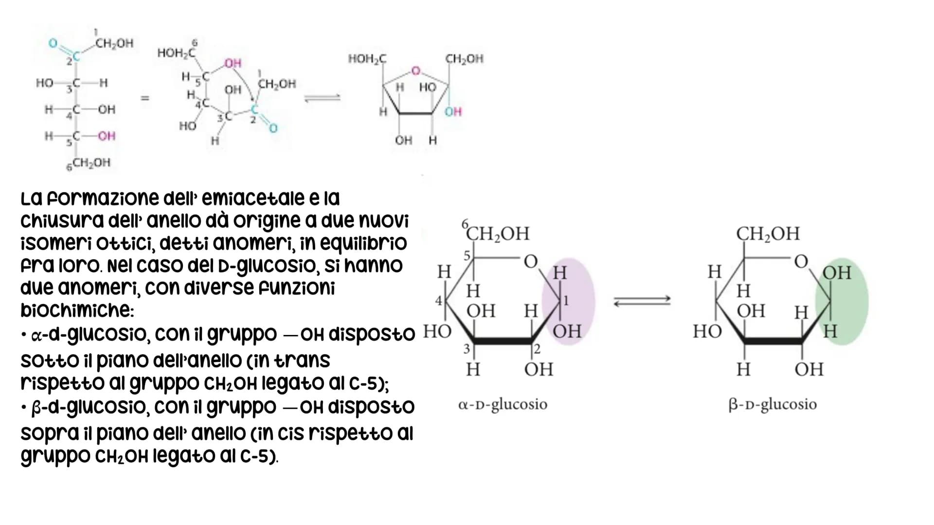 # LE BIOMOLECOLE
Carboidrati, Proteine, Lipidi e Acidi nucleici # LE BIOMOLECOLE
sono molecole che svolgono un ruolo nei sistemi
biologici