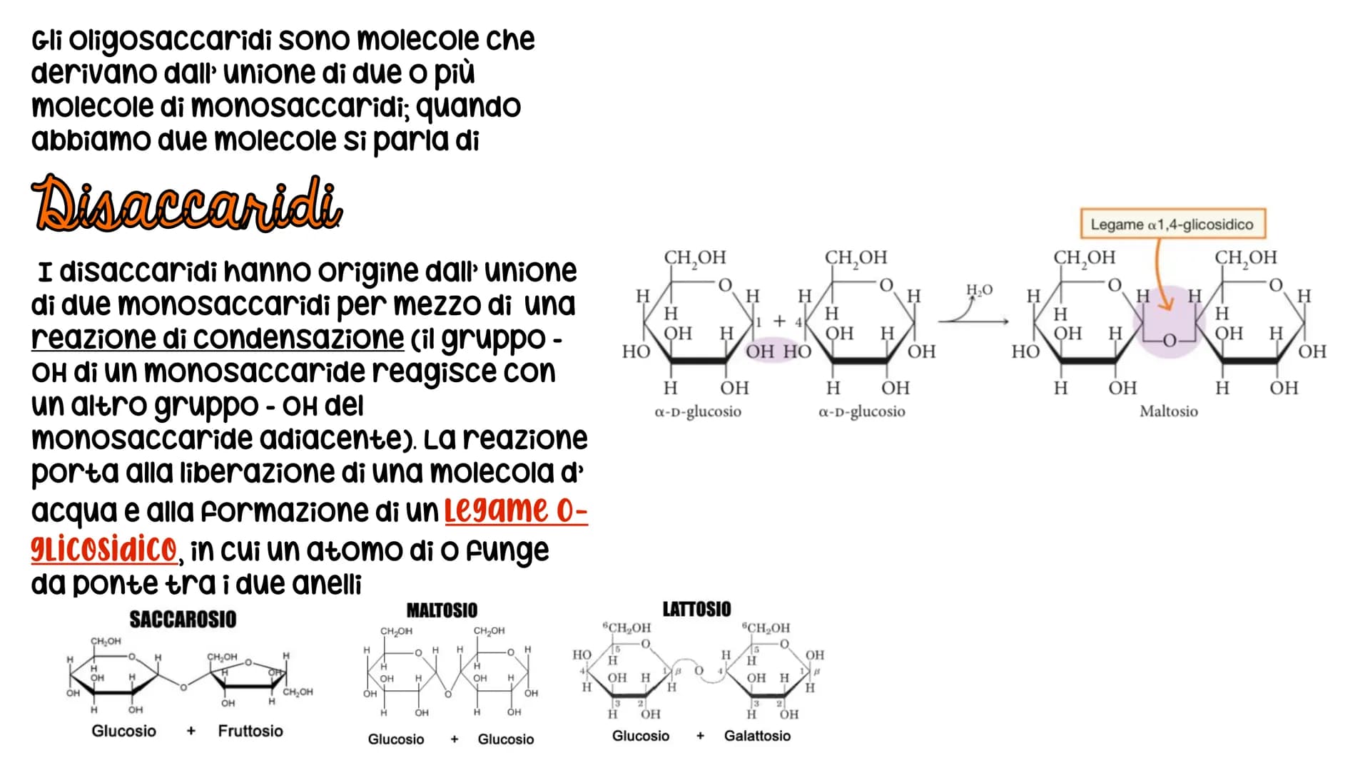 # LE BIOMOLECOLE
Carboidrati, Proteine, Lipidi e Acidi nucleici # LE BIOMOLECOLE
sono molecole che svolgono un ruolo nei sistemi
biologici