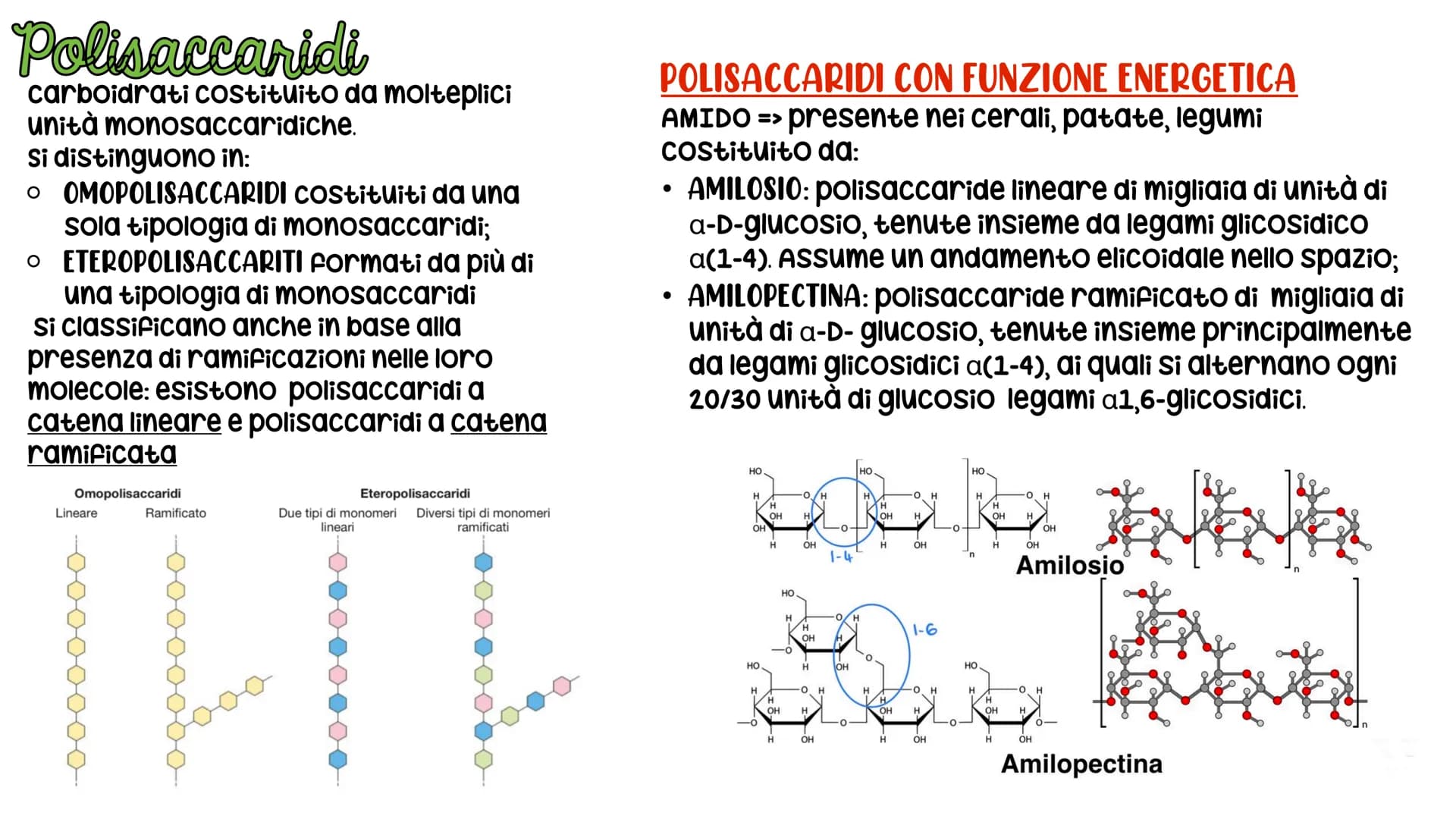 # LE BIOMOLECOLE
Carboidrati, Proteine, Lipidi e Acidi nucleici # LE BIOMOLECOLE
sono molecole che svolgono un ruolo nei sistemi
biologici