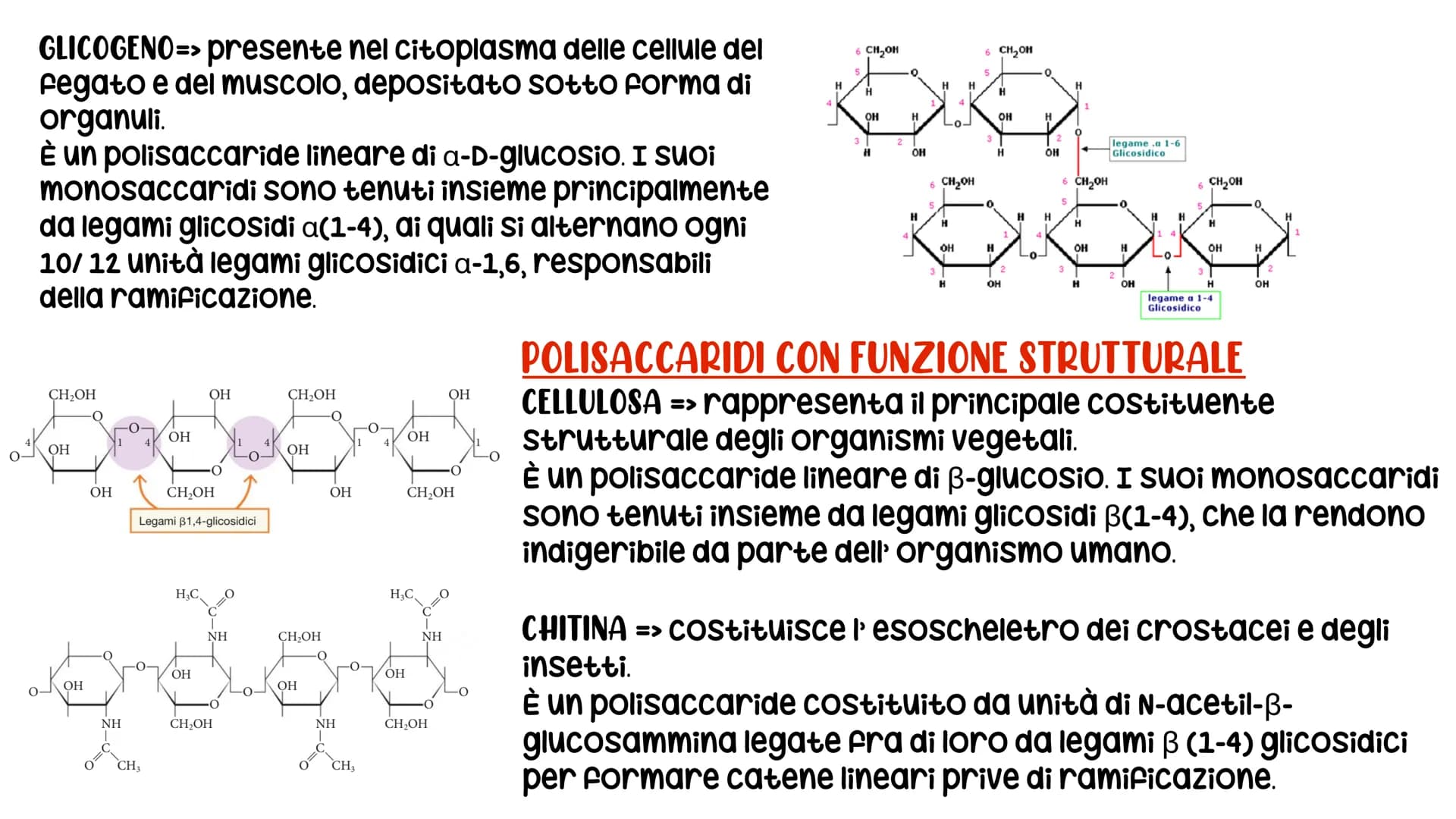 # LE BIOMOLECOLE
Carboidrati, Proteine, Lipidi e Acidi nucleici # LE BIOMOLECOLE
sono molecole che svolgono un ruolo nei sistemi
biologici