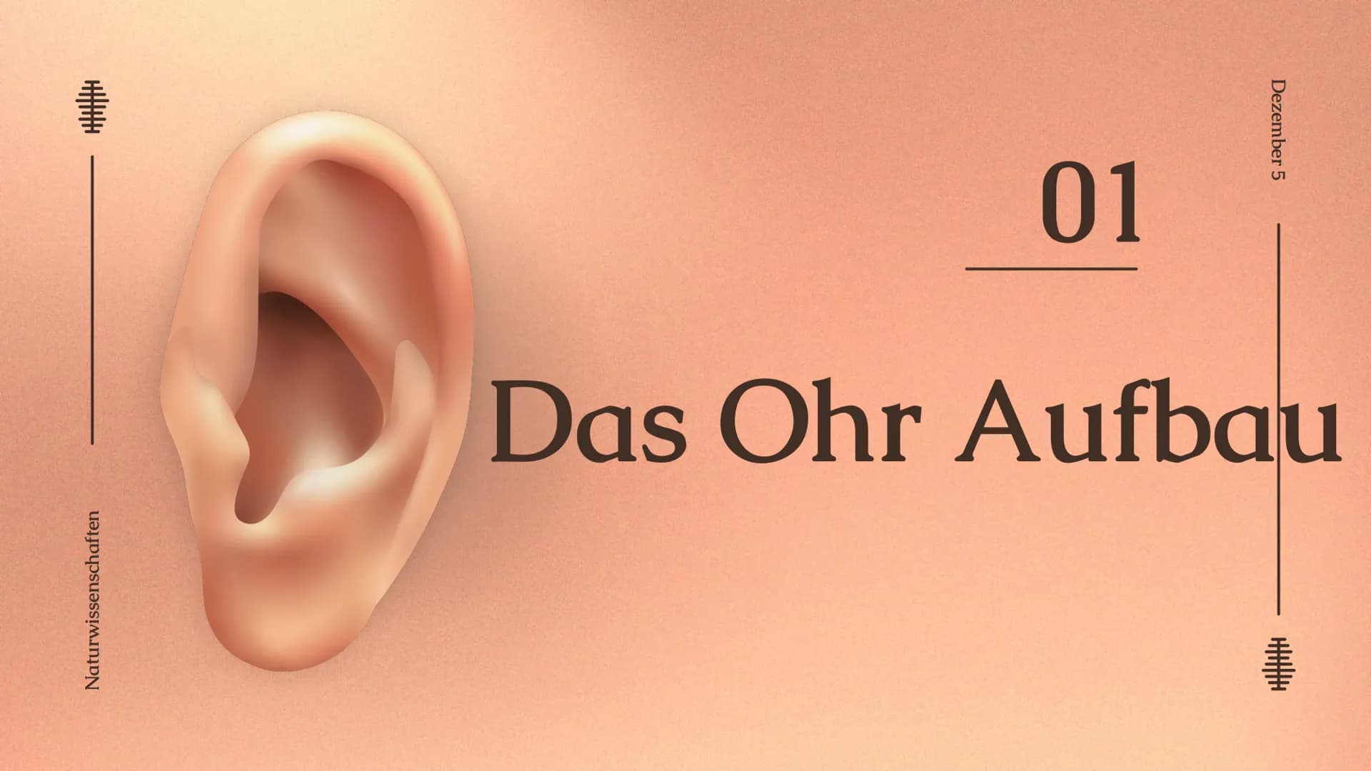 # Das Ohr
von: Madita Harting und Sarina Rohani
Das Ohr
November 22 Inhaltsverzeichnis
1. Das Ohr Aufbau
2. Das Außenohr
3. Das Innenohr