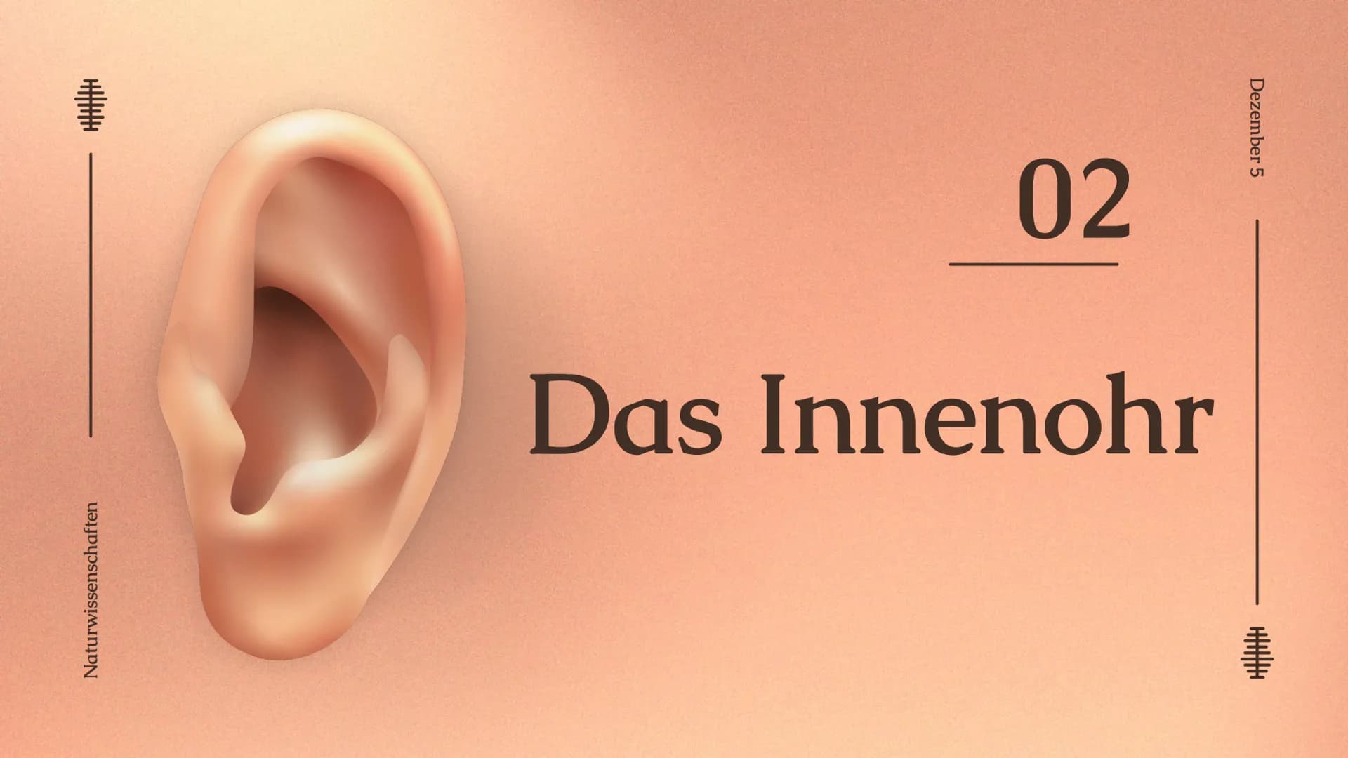# Das Ohr
von: Madita Harting und Sarina Rohani
Das Ohr
November 22 Inhaltsverzeichnis
1. Das Ohr Aufbau
2. Das Außenohr
3. Das Innenohr