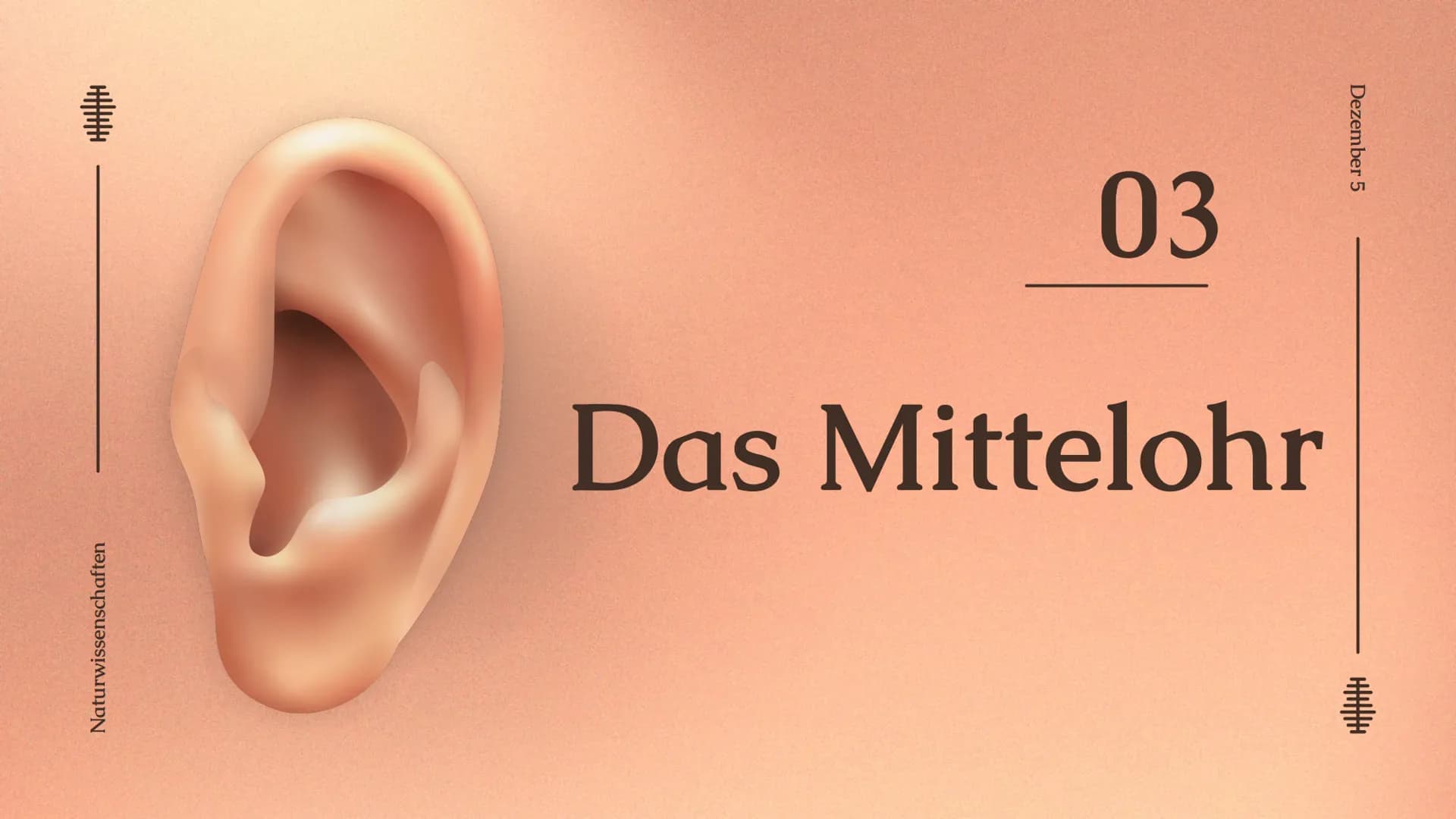 # Das Ohr
von: Madita Harting und Sarina Rohani
Das Ohr
November 22 Inhaltsverzeichnis
1. Das Ohr Aufbau
2. Das Außenohr
3. Das Innenohr
