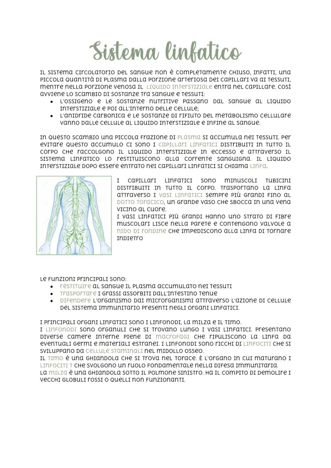 # Sistema linfatico
IL SISTEMA circolatorio DEL SANngue non è COMPLETAMENTE CHIUSO, INFATTI, una
PICCOLA QUANTITÀ DI PLASma DALLA Porzione