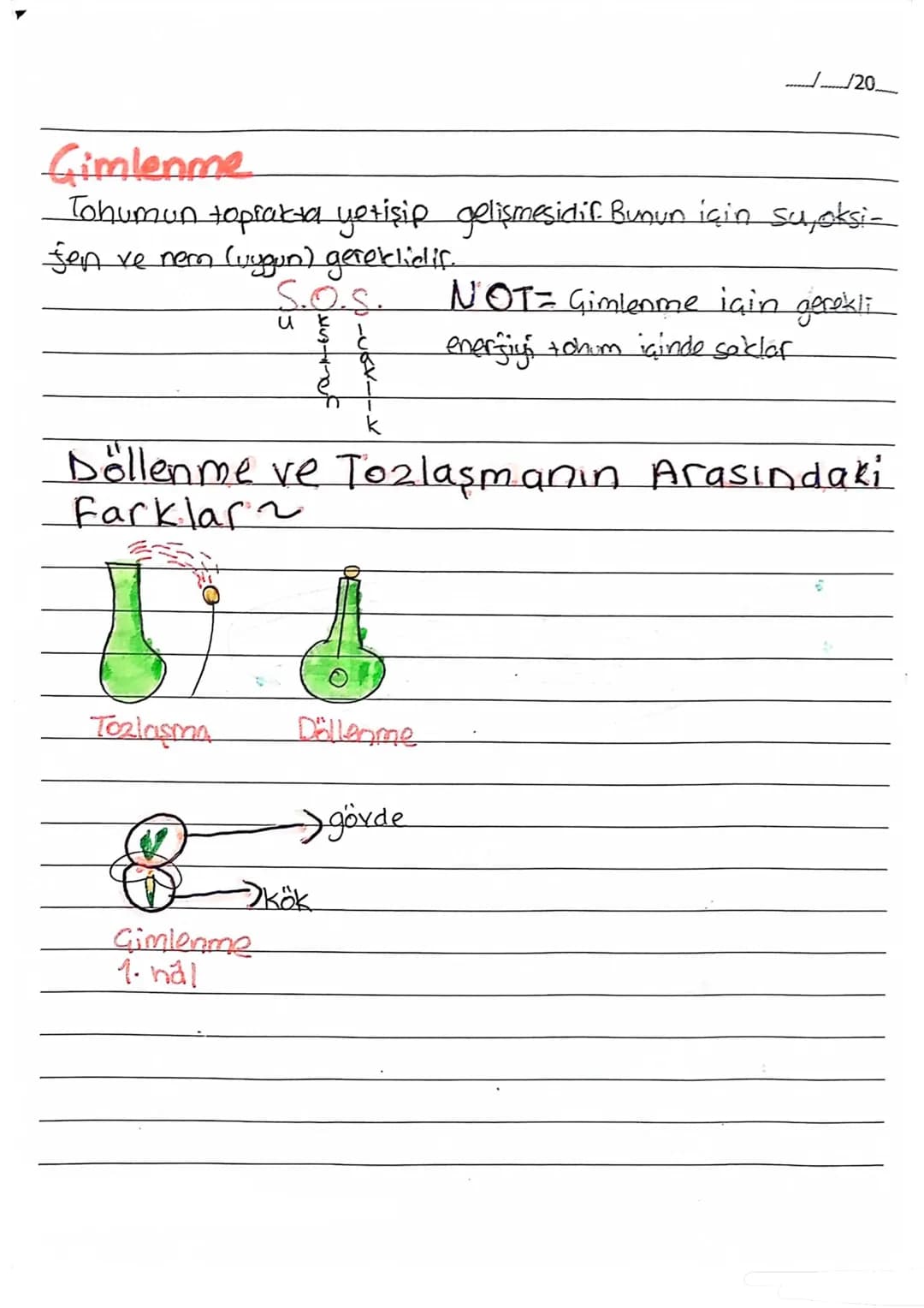 fen B.
......./......./20........
BİTKİLERDE ÜREME
Tepecik
Polenter
girer.
Arıların gelmesi için
Giçeğe hoş renk, koku veril.
Taç Yaprak
Di