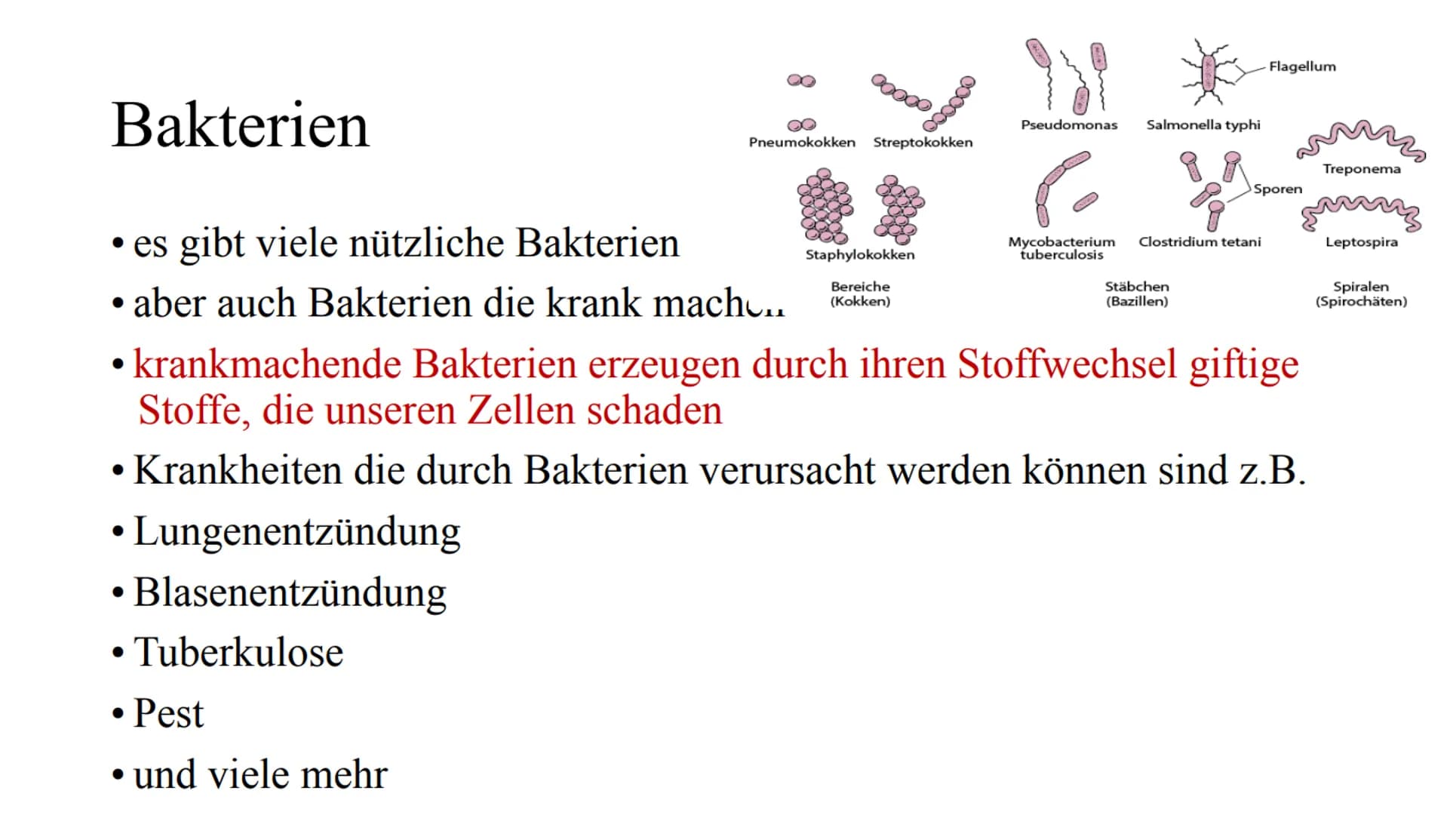 # Das Immunsystem # Das Immunsystem
ist das körpereigene, individuelle Abwehrsystem gegen schädlichen
Krankheitserreger
Der Begriff des 'I