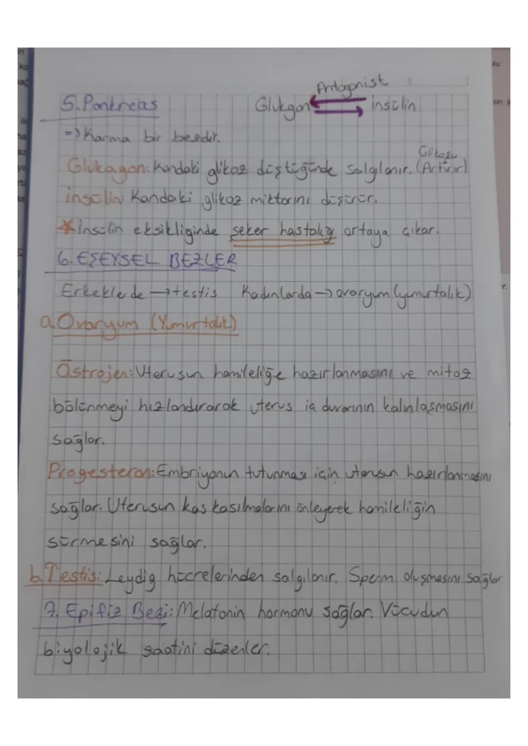 SE
ha
PC
Hipofizin ön lob hormonları:
ru
Pani
algi
SE
S
Büyüme Hormonu (STH): Özellikle kemiklerde büyümeyi
ve metabolik işlevleri uyarır. B