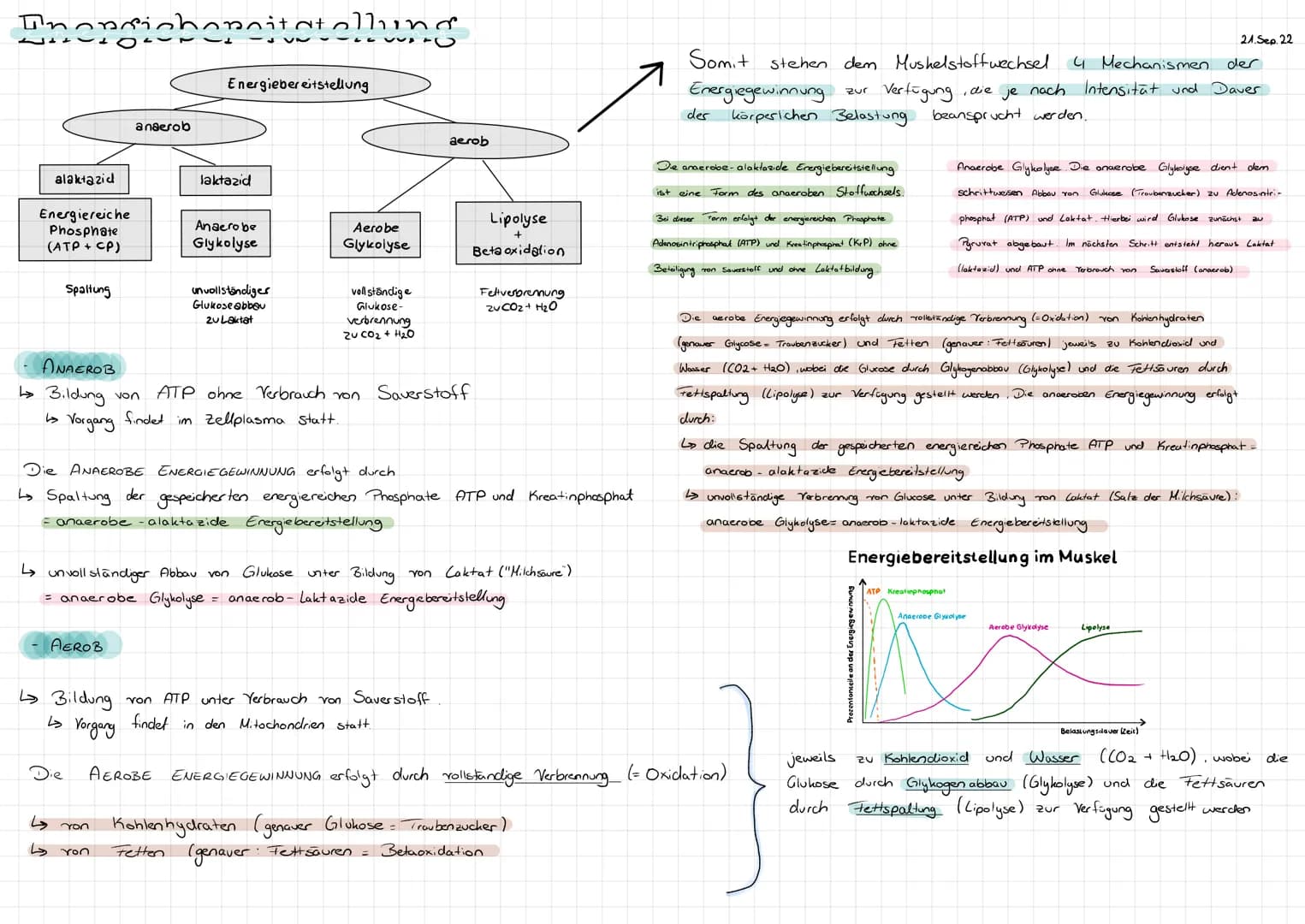 # Inongichonnitatellung
Energiebereitstellung
| | | |
|----------|----------|----------|
| alaktazid | laktazid