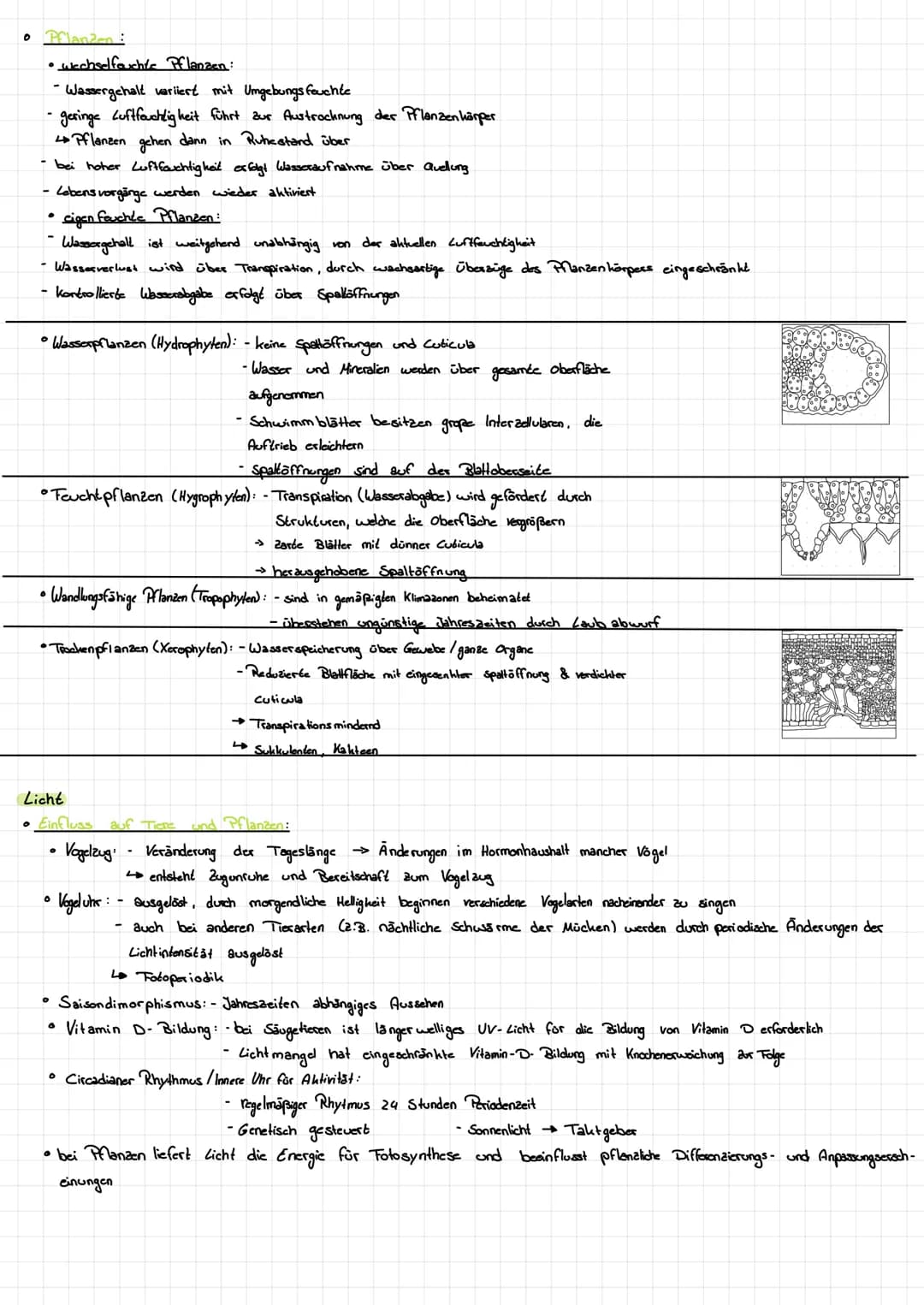 # Ökologie
GLOSSAR
| Begriffe | Erklärung/Nefinition. |
| ----------- | ----------- |
| Ökosystem | Wechselbezichung zwischen einem Biotop