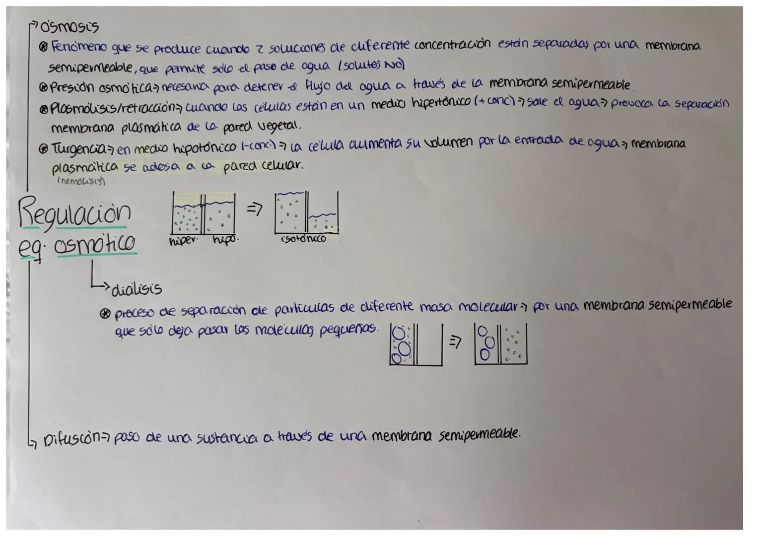 Primavios
096-98%
@CHONPS
Función estructural
cforma 4 enlaces
esteubles pero "dincimicos"
cadenas lineales/
ramificadas.
Bioelementos
Secun