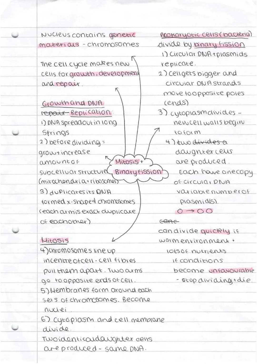 * bacteria
* singlecellorganism
Prokaryotes-smaller simpler - nonucleus
Eurkayotes-complex-nasenucieus
cammal Plant
subeellu lar