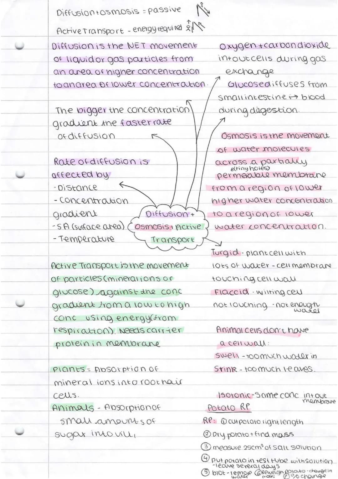 * bacteria
* singlecellorganism
Prokaryotes-smaller simpler - nonucleus
Eurkayotes-complex-nasenucieus
cammal Plant
subeellu lar