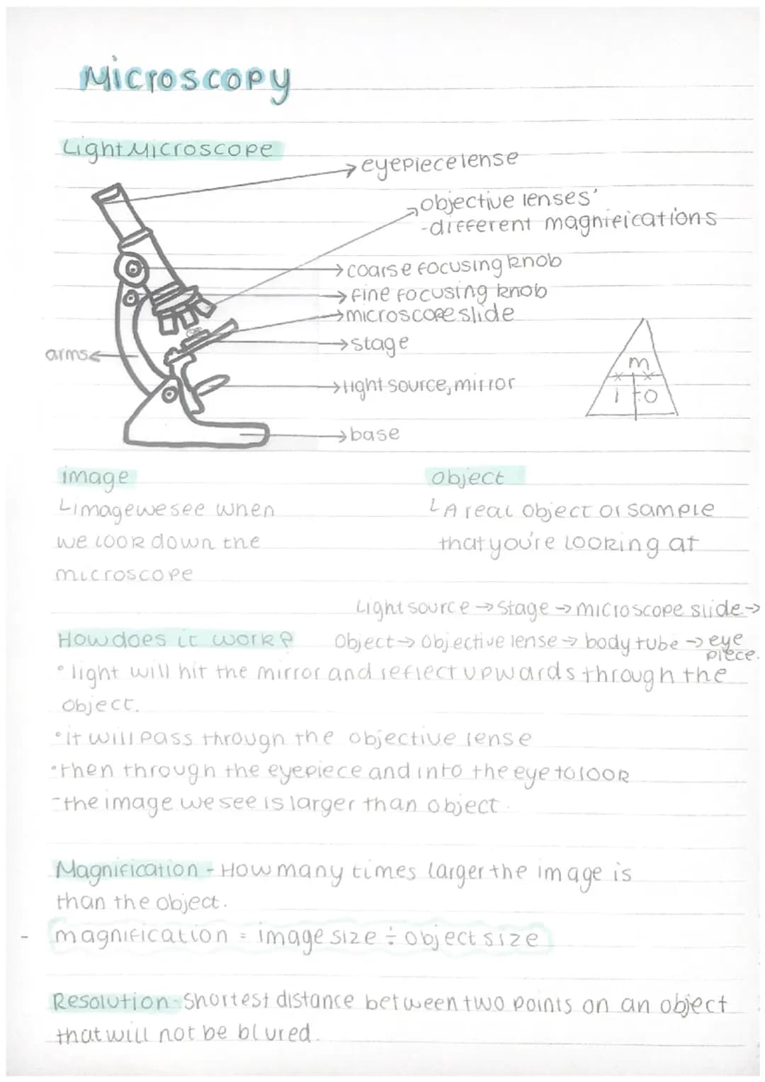 Microscopy
Light Microscope
arms
eyepiece lense
objective lenses'
-different magnifications
→coarse focusing knob
→fine focusing knob
→
