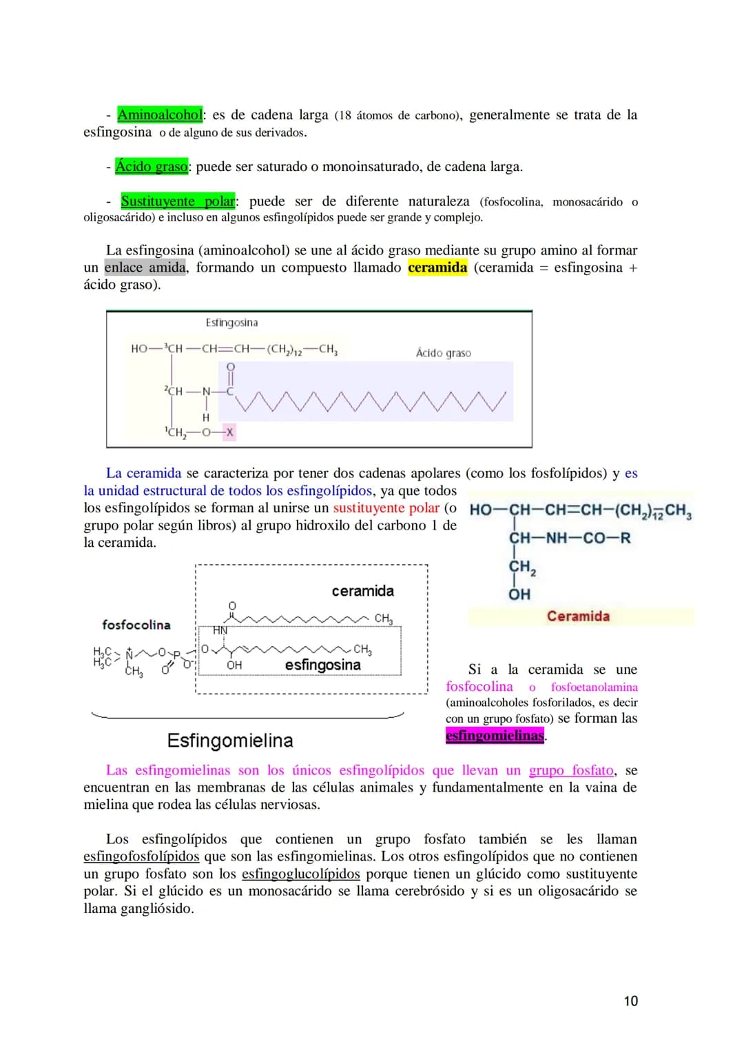 TEMA 3.- LÍPIDOS
1. Generalidades: Composición química, funciones generales (energética, estructural
y biocatalizadora).y clasificación: lí