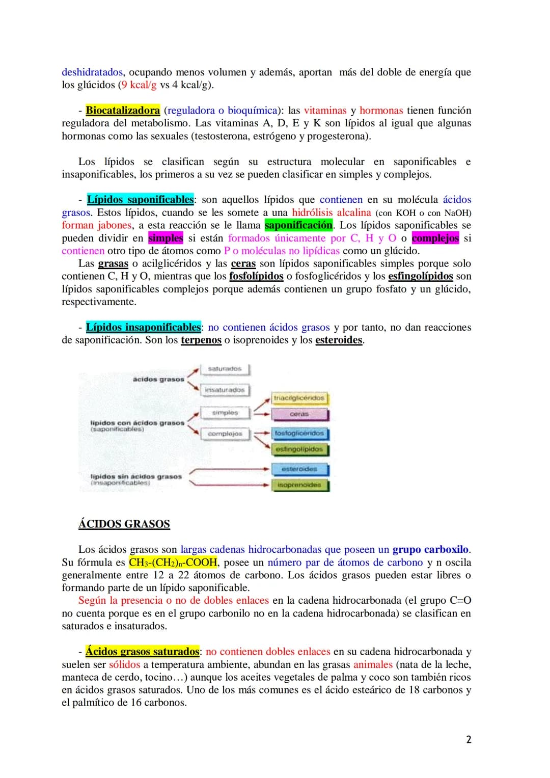 TEMA 3.- LÍPIDOS
1. Generalidades: Composición química, funciones generales (energética, estructural
y biocatalizadora).y clasificación: lí