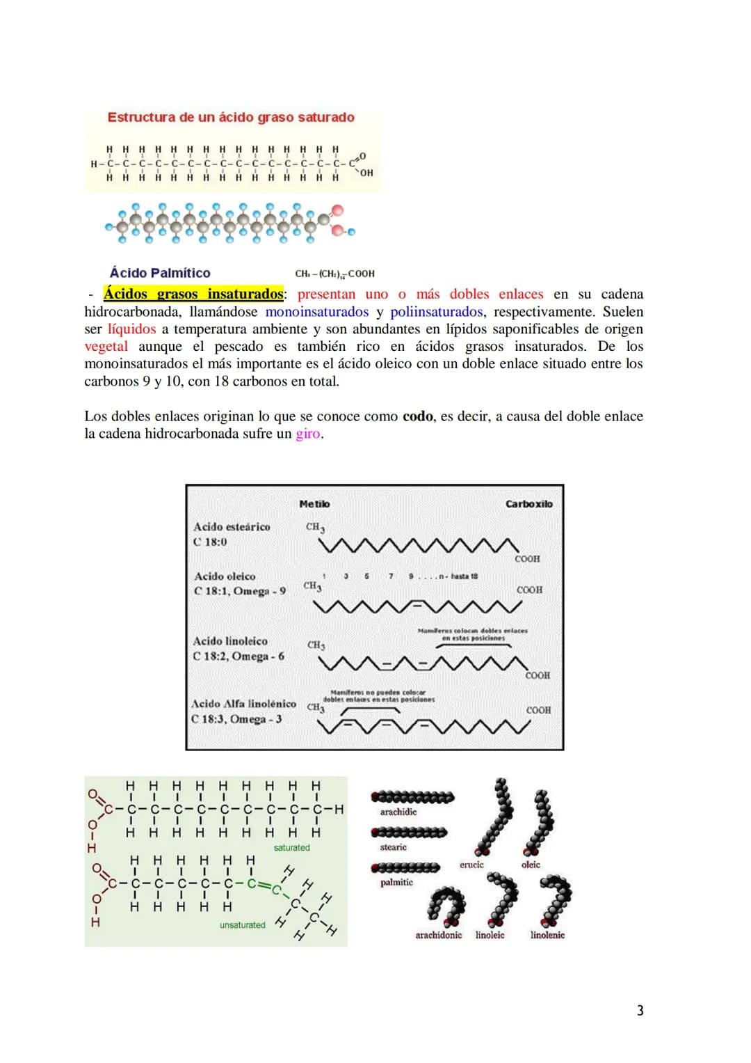 TEMA 3.- LÍPIDOS
1. Generalidades: Composición química, funciones generales (energética, estructural
y biocatalizadora).y clasificación: lí