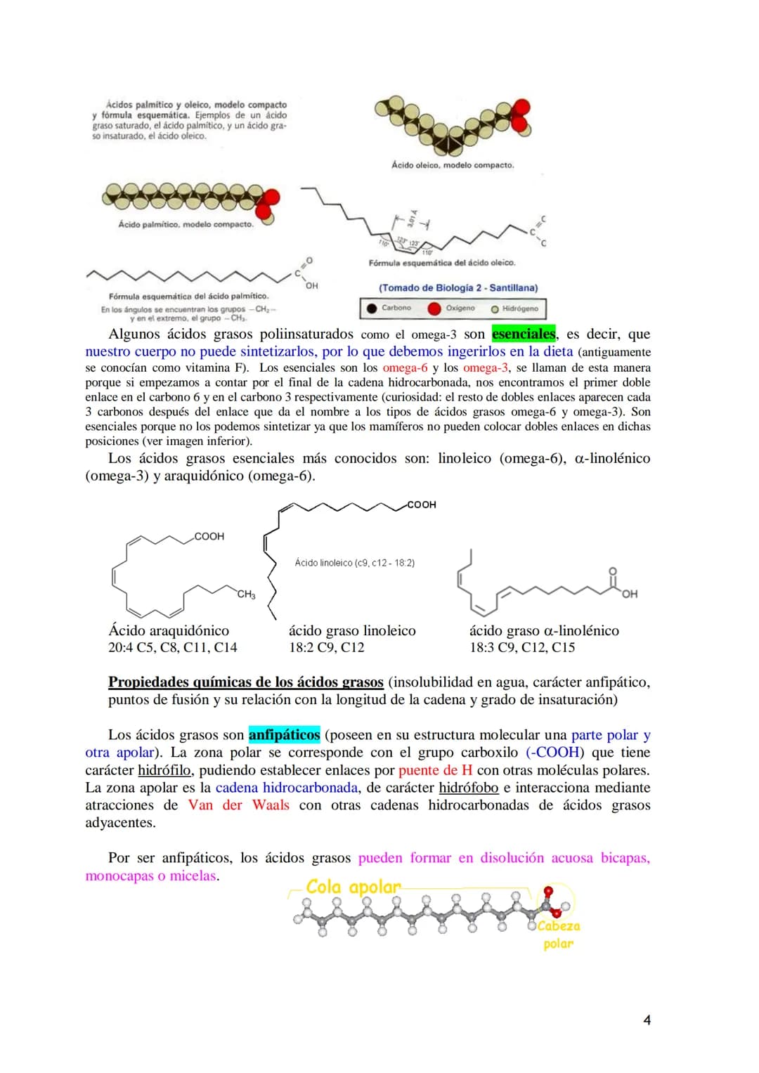 TEMA 3.- LÍPIDOS
1. Generalidades: Composición química, funciones generales (energética, estructural
y biocatalizadora).y clasificación: lí