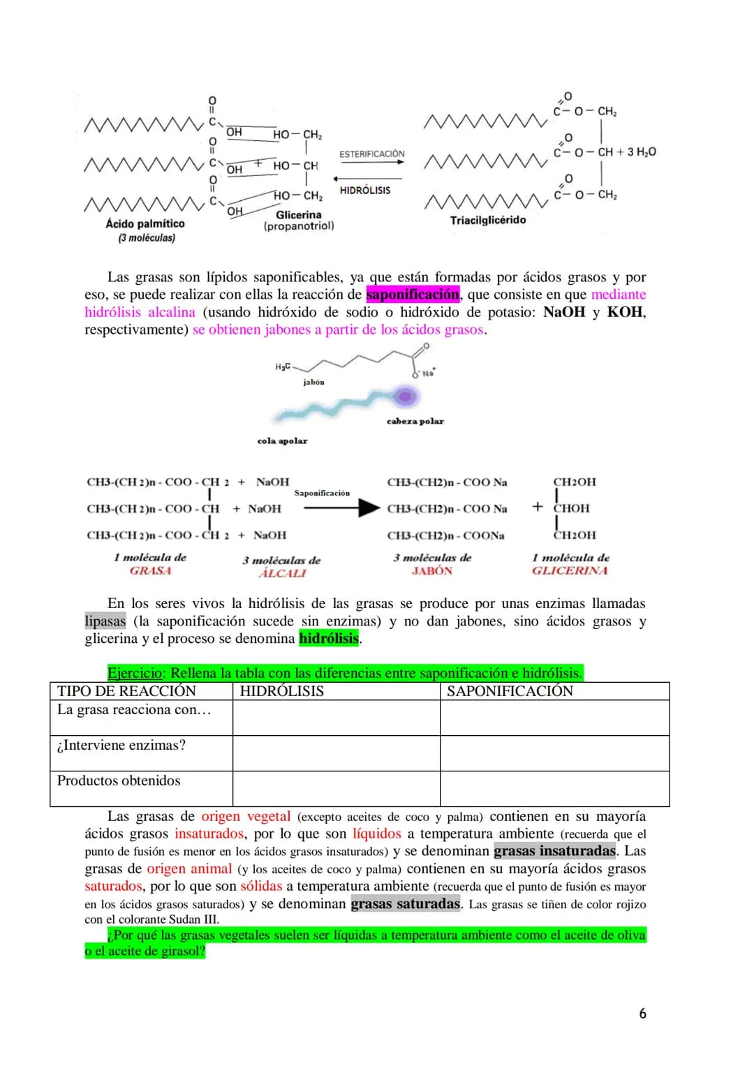 TEMA 3.- LÍPIDOS
1. Generalidades: Composición química, funciones generales (energética, estructural
y biocatalizadora).y clasificación: lí