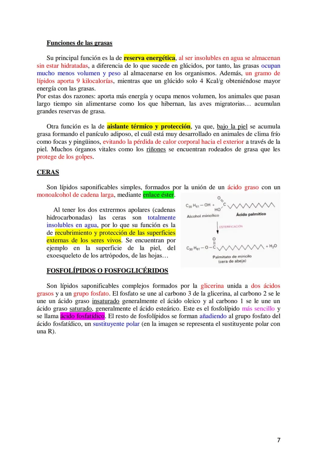 TEMA 3.- LÍPIDOS
1. Generalidades: Composición química, funciones generales (energética, estructural
y biocatalizadora).y clasificación: lí
