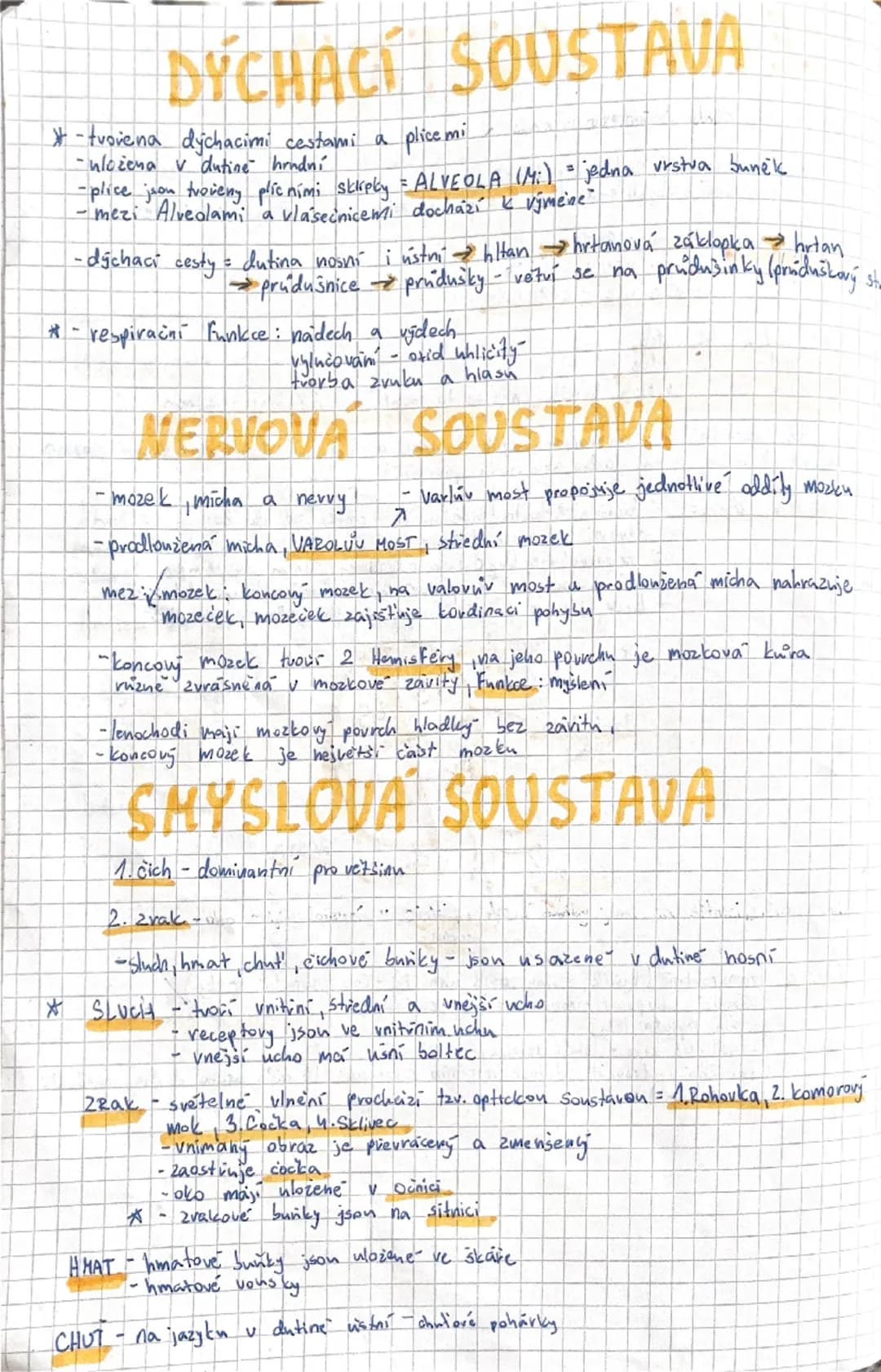 # SAVCI
Vývoj savcu:
- objevují se koncem triasu v druhohovach
-jsou to hmyzožravci, žijících ve skupinách
(v novach) = pruni
- největší vo
