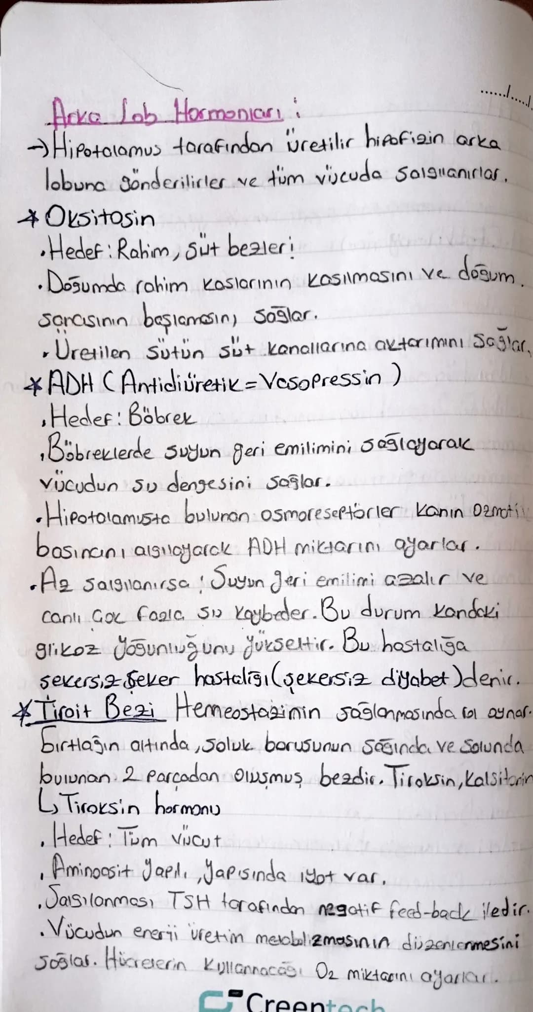 "ENDOKRIN SISTEM "
Herman!
•Organik maddelerdir. Sadece hedef organda etkilerini
•Hedef organlara kan yoluyla taşınırlar. gösterirler
•Çal