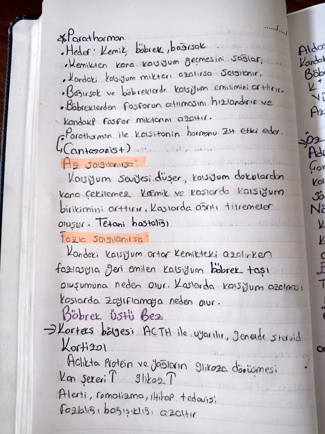 "ENDOKRIN SISTEM "
Herman!
•Organik maddelerdir. Sadece hedef organda etkilerini
•Hedef organlara kan yoluyla taşınırlar. gösterirler
•Çal