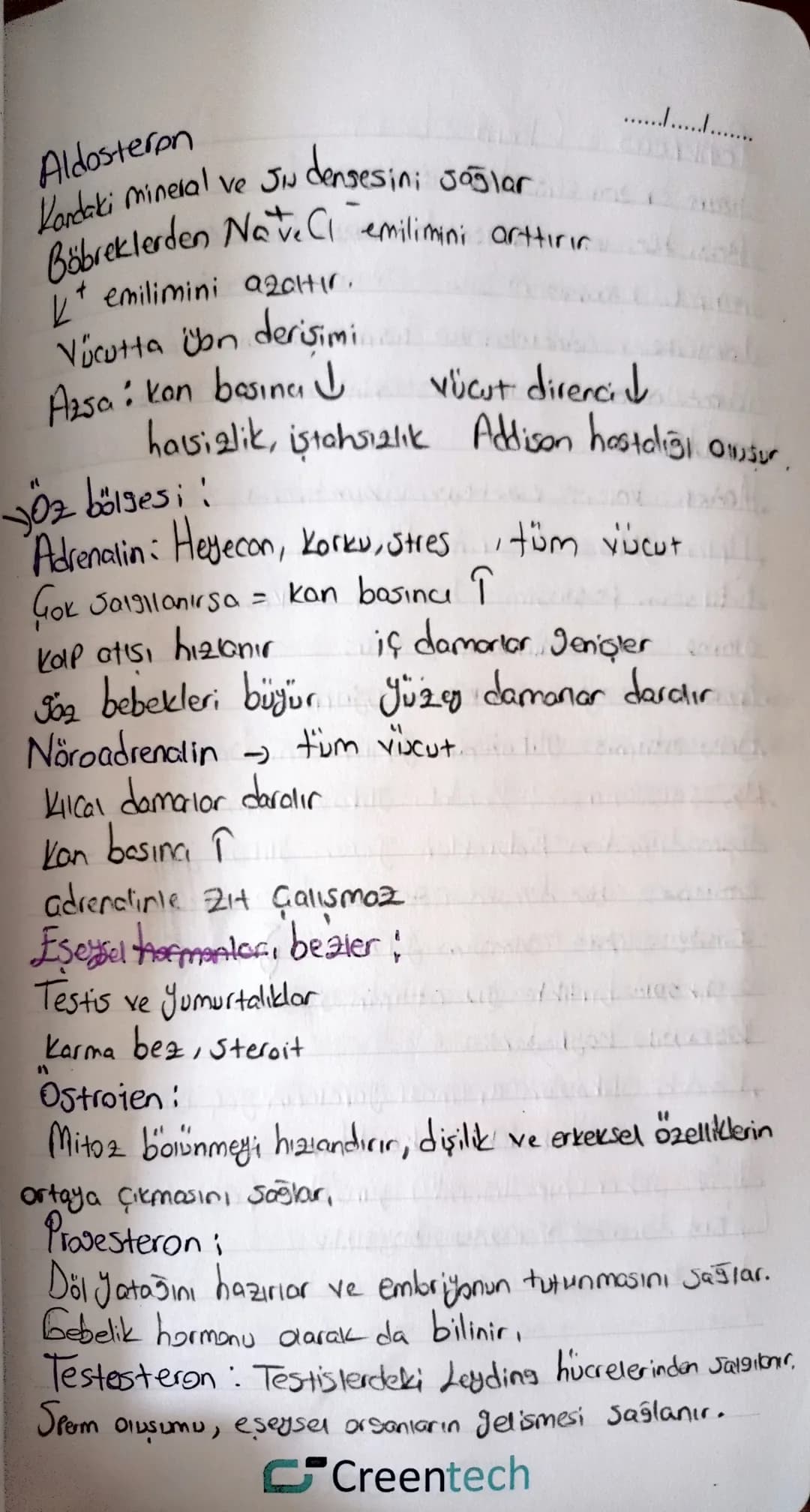 "ENDOKRIN SISTEM "
Herman!
•Organik maddelerdir. Sadece hedef organda etkilerini
•Hedef organlara kan yoluyla taşınırlar. gösterirler
•Çal