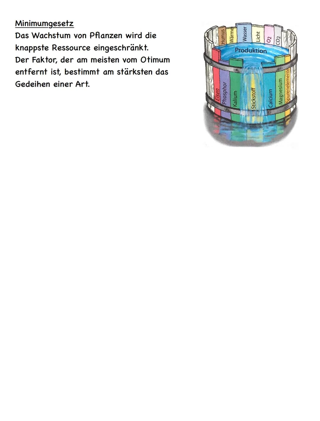 Zusammenfassung
# Ökologie
## Abiotische und biotische Faktoren
### Biotische Faktoren
- gehen von Lebewesen aus
- Konkurrenten
- Parasit