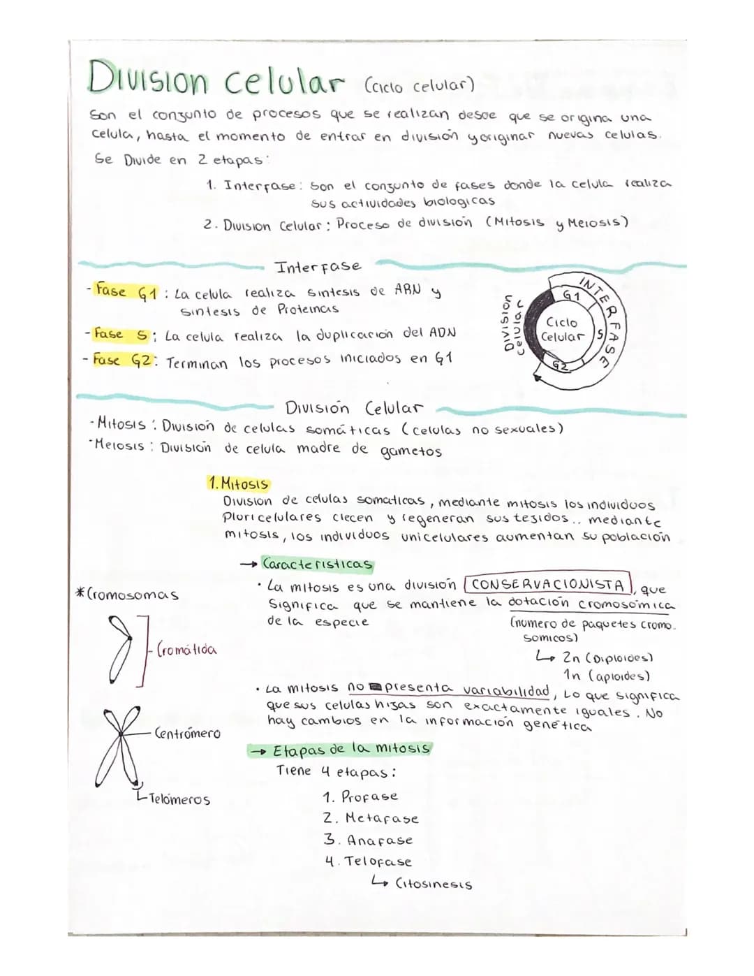 # Division celular (ciclo celular)
Son el conjunto de procesos que se realizan desoe que se origina una
Celula, hasta el momento de entrar
