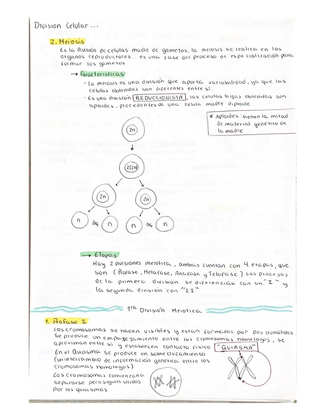 # Division celular (ciclo celular)
Son el conjunto de procesos que se realizan desoe que se origina una
Celula, hasta el momento de entrar