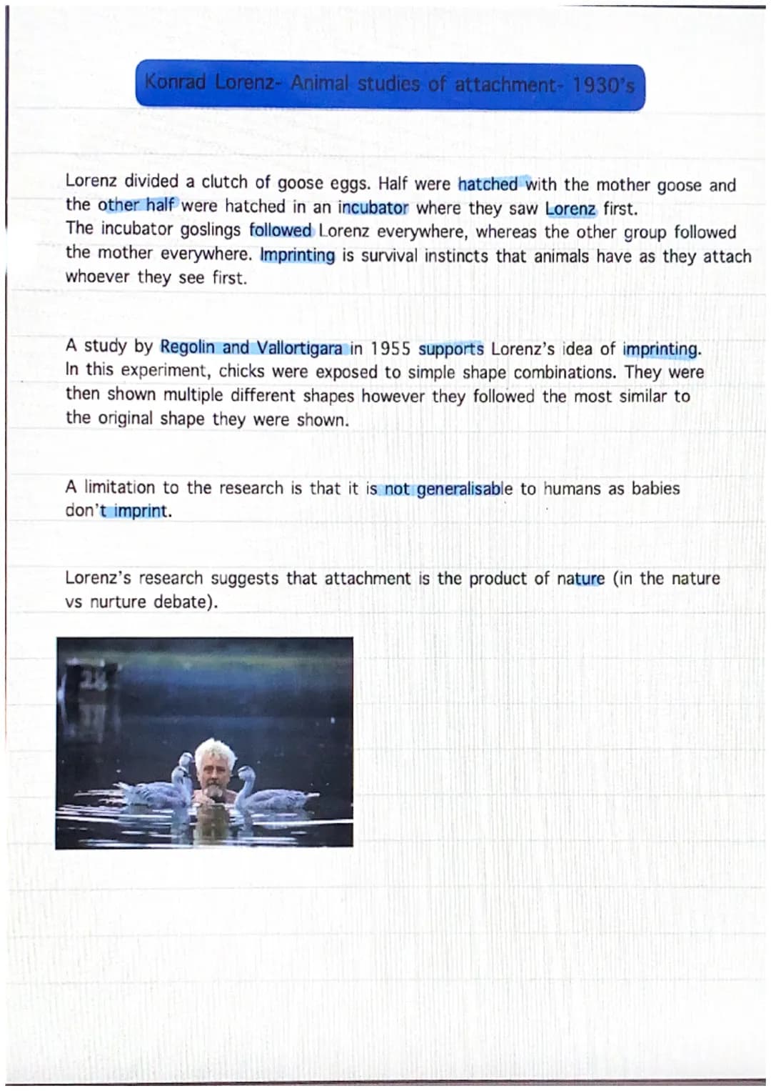 <h2>Stage 1- Asocial Stage (0-6 weeks)</h2>
<p>During this stage, babies' behavior between humans and non-humans is similar. They still sho