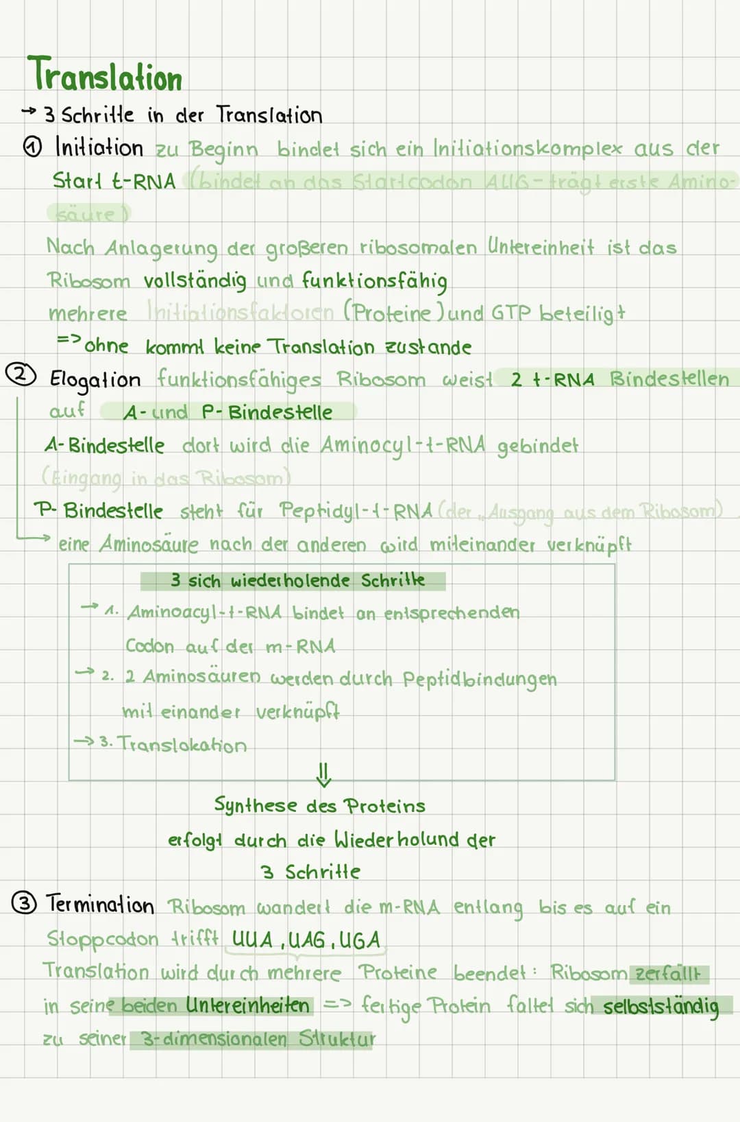 # Proteinbiosynthese
Transkription
= umschreiben
Translation
Fübertragen
→Übertragung der genetischen
Informationen auf die m-RNA
→ Über
