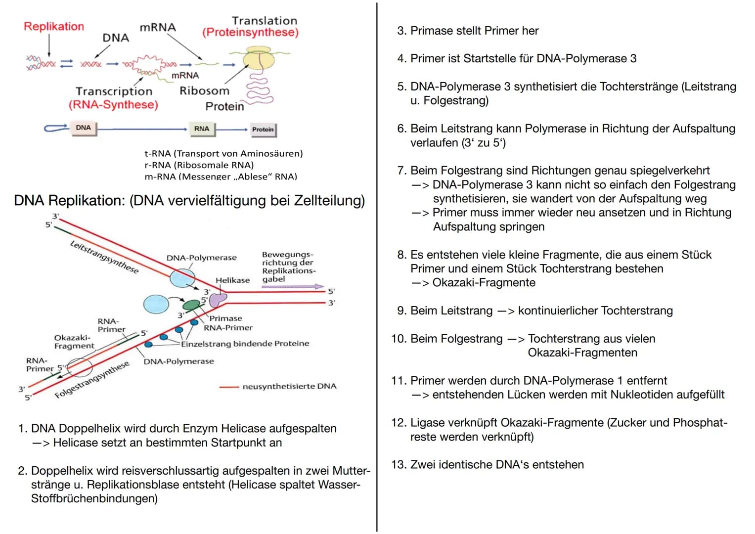 # GENETIK
Wofür brauchen wir Genetik:
-> Genetisch veränderte Lebensmittel
-> Vaterschaftstest (DNA – Analyse)
-> Kriminalistik = genetisch