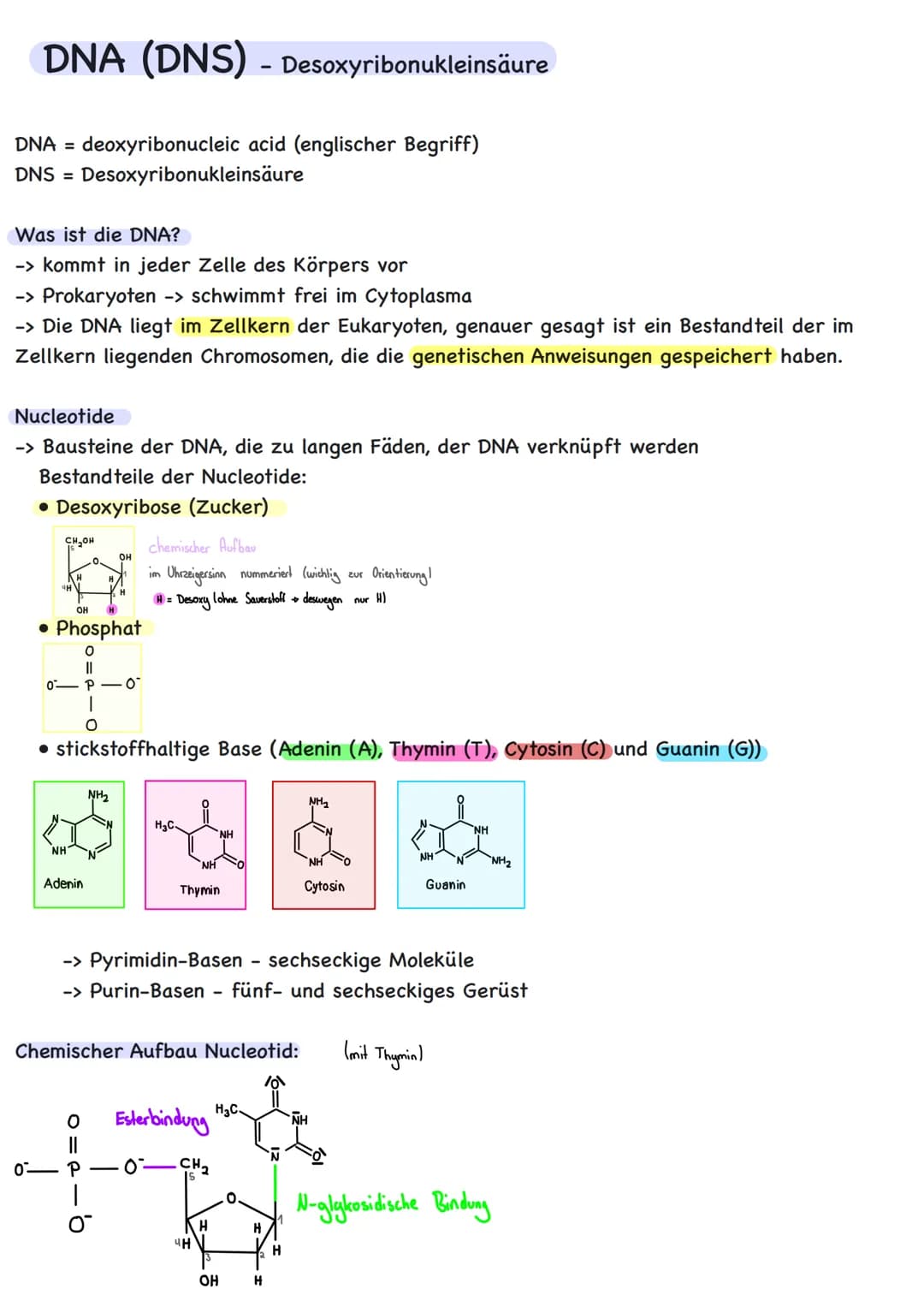 Genetik # Übersicht
Zytologie
Aufbau DNA
DNA-Replikation
Proteinbiosynthese
Transkription
Translation
Code Sonne
Genregulation
Substra