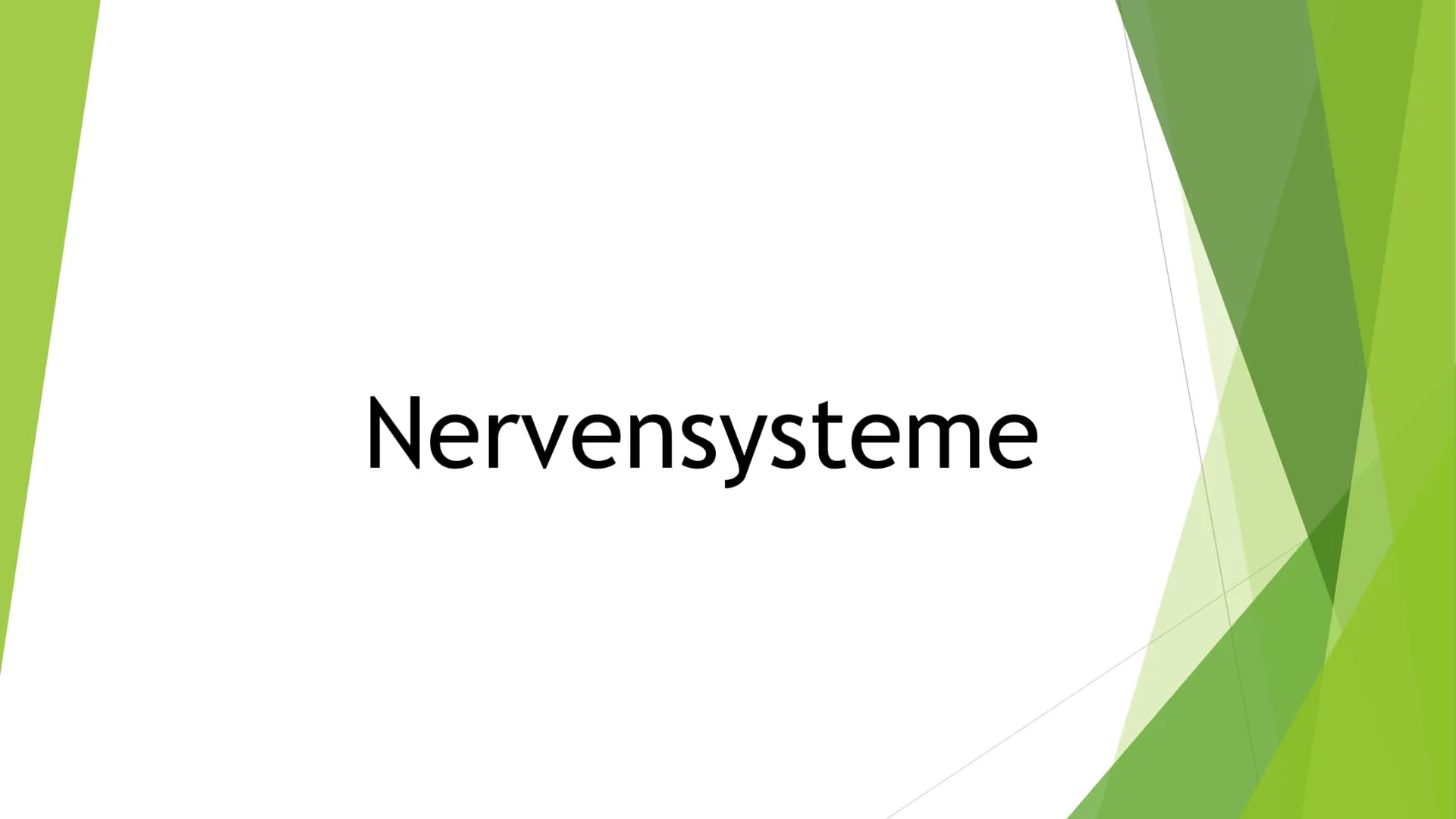 # Nervensysteme # Inhaltsverzeichnis
- Nervensystem/ Nervenzellen
- Zentrale Nervensystem
- Periphere Nervensystem
- Somatische Nervensyste