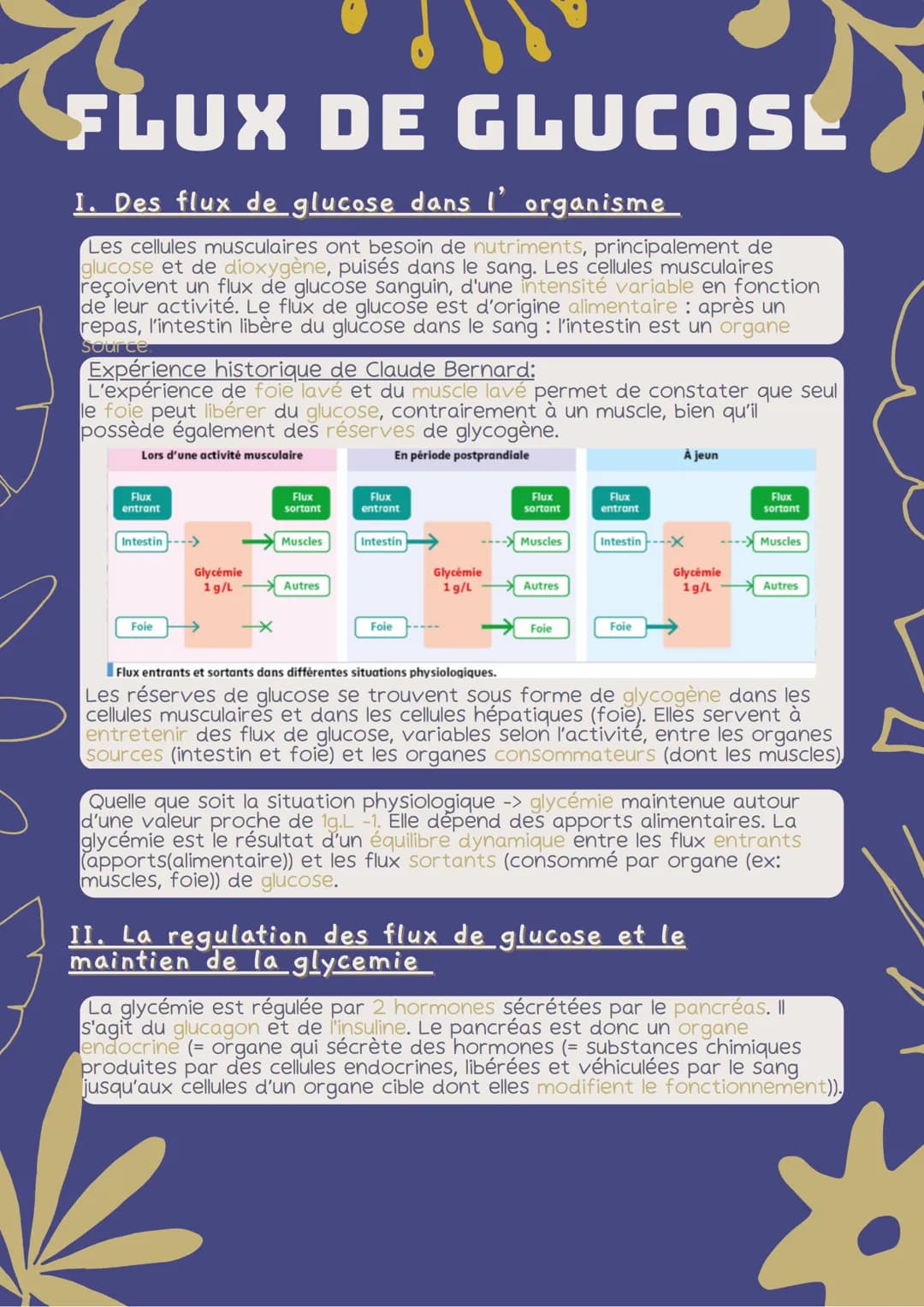 # FLUX DE GLUCOSE
1. Des flux de glucose dans l' organisme
Les cellules musculaires ont besoin de nutriments, principalement de
glucose et