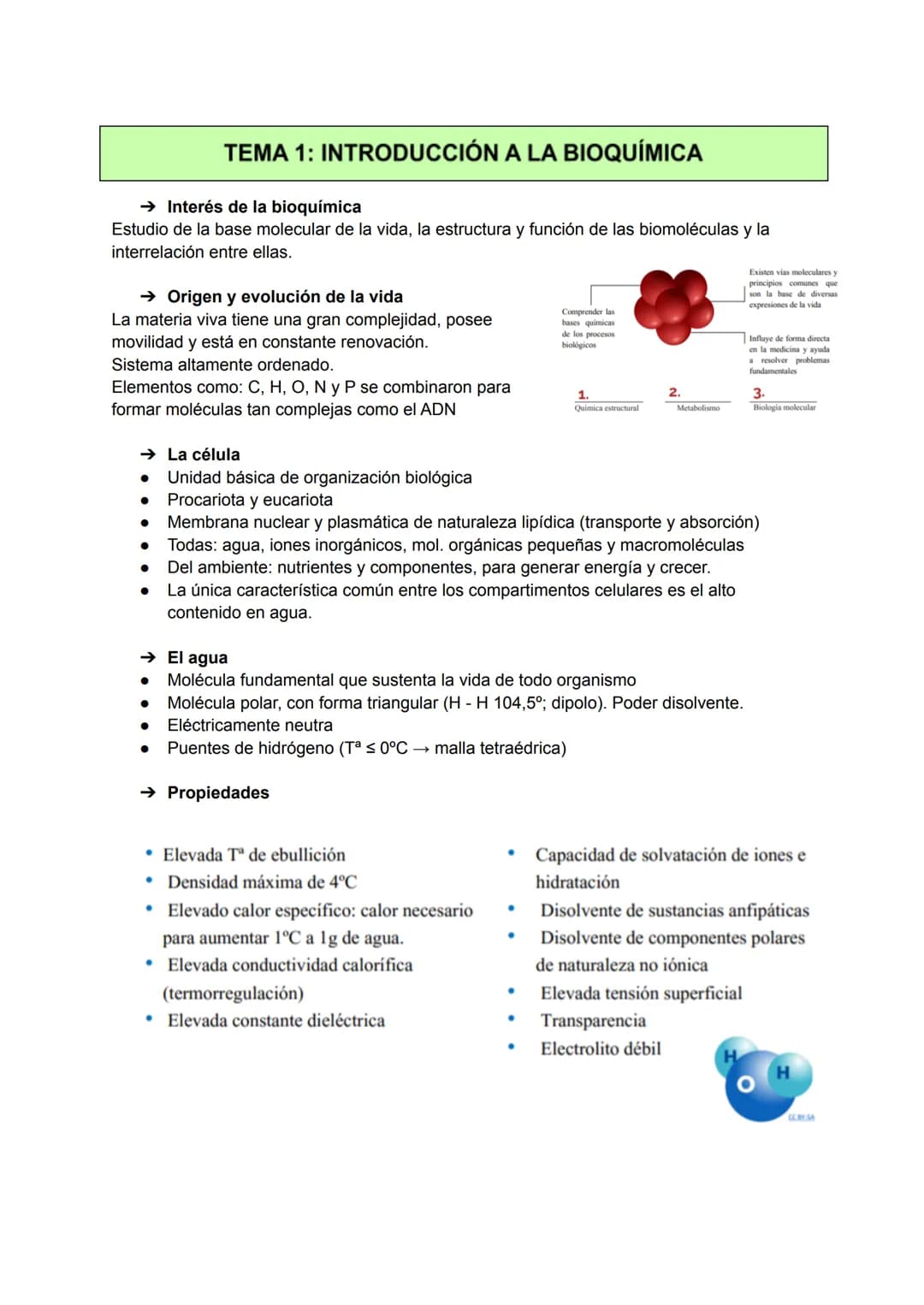 # TEMA 1: INTRODUCCIÓN A LA BIOQUÍMICA
→ Interés de la bioquímica
Estudio de la base molecular de la vida, la estructura y función de las