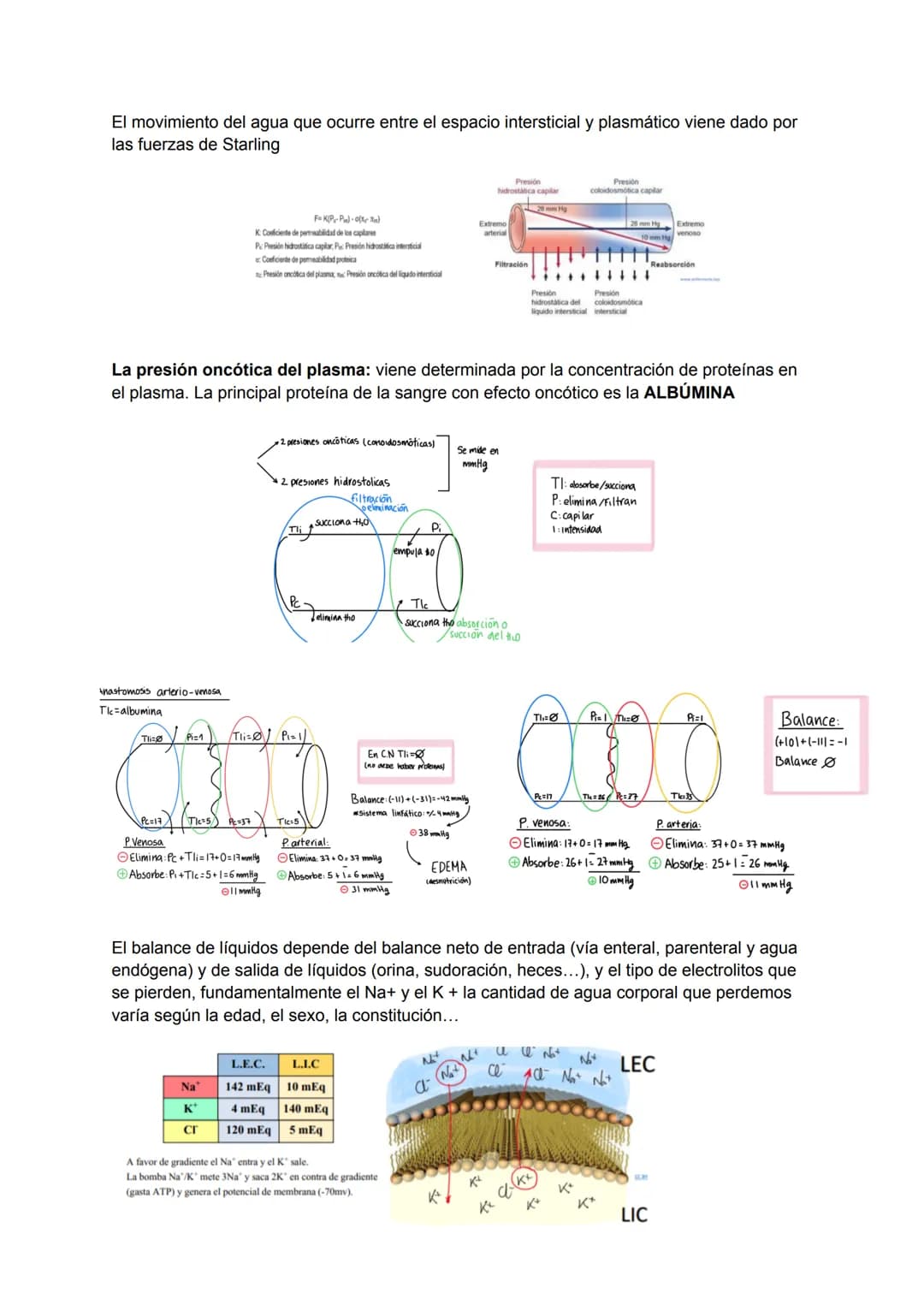 # TEMA 1: INTRODUCCIÓN A LA BIOQUÍMICA
→ Interés de la bioquímica
Estudio de la base molecular de la vida, la estructura y función de las