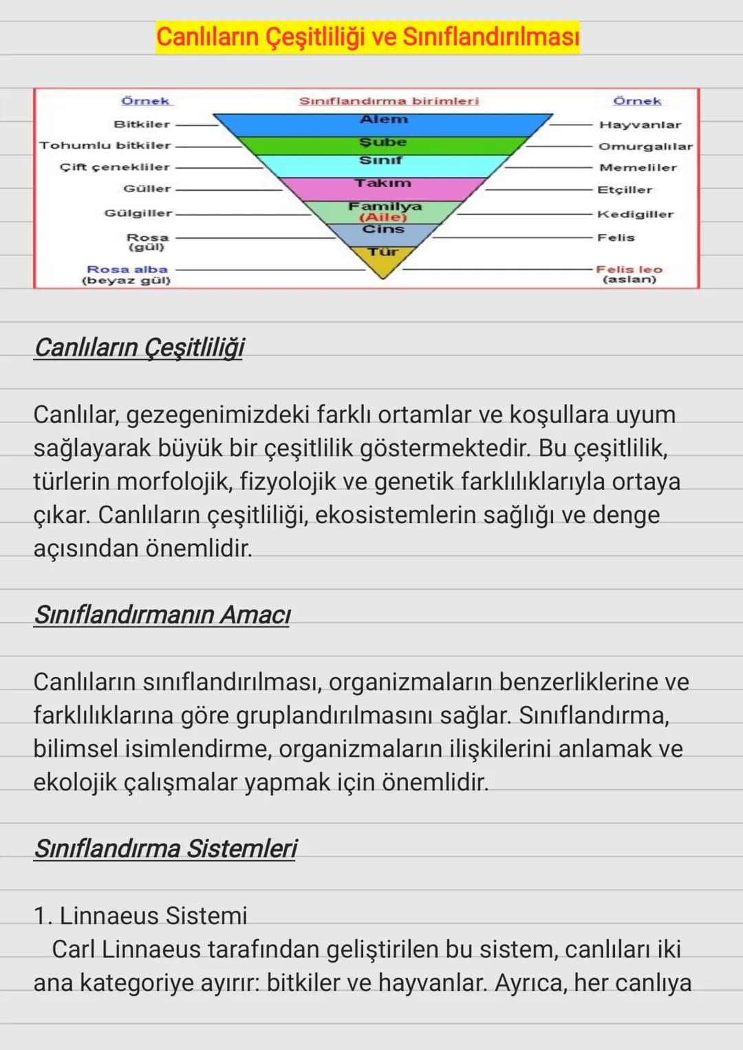 # Canlıların Çeşitliliği ve Sınıflandırılması
| Örnek | Sınıflandırma birimleri | Örnek |
| --------------- | ------------