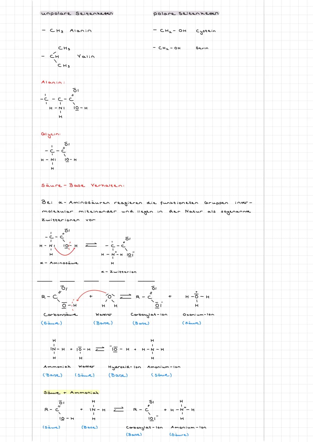 # LERNSKRIPT CHEMIE
Aminosäuгга
Definition: Aminosäuren sind Moleküle, die zwei funktionelle Gruppen besitzen.
Eine Carboxylgruppe (COOH)