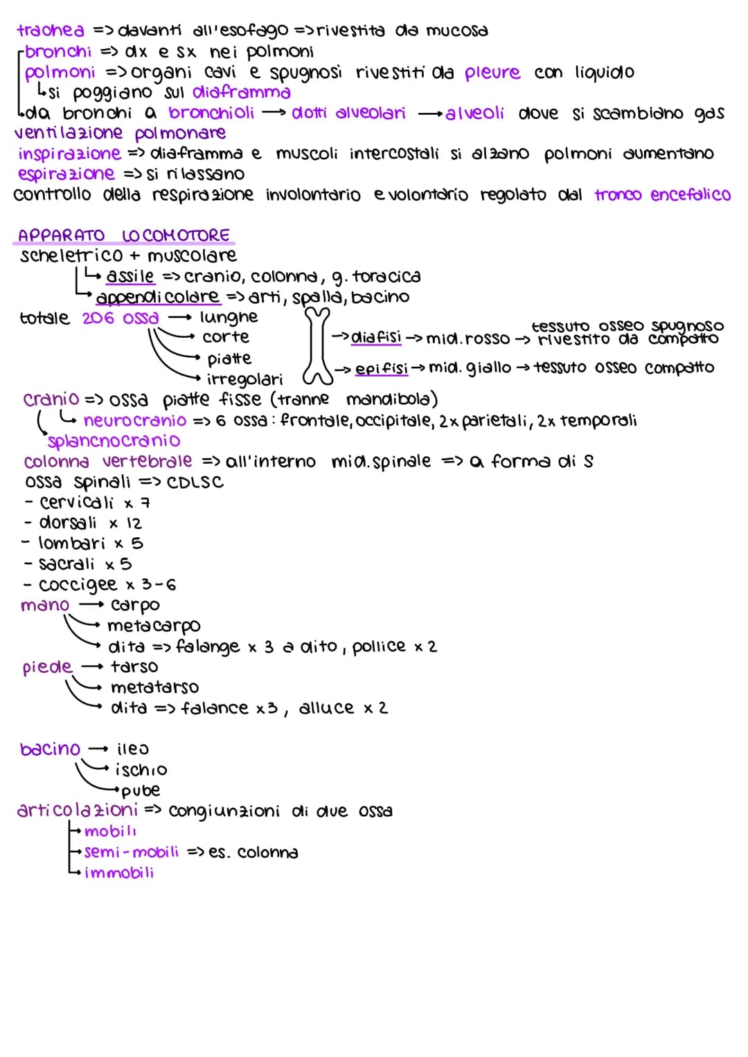 # teorie dell'evoluzione
dall'800 in poi
Lamarck caratteristiche potevano comparire/scomparire per uSO O
disuso di queste ereditarietà dei c