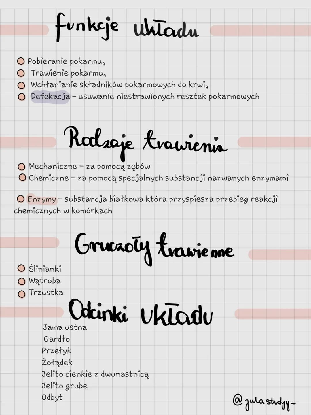 Układ Pokarmowy
@julastudy- # Jama ustna
Pierwszy odcinek układu pokarmowego otoczony
wargami. Zachodzi trawienie mechaniczne oraz
chemicz