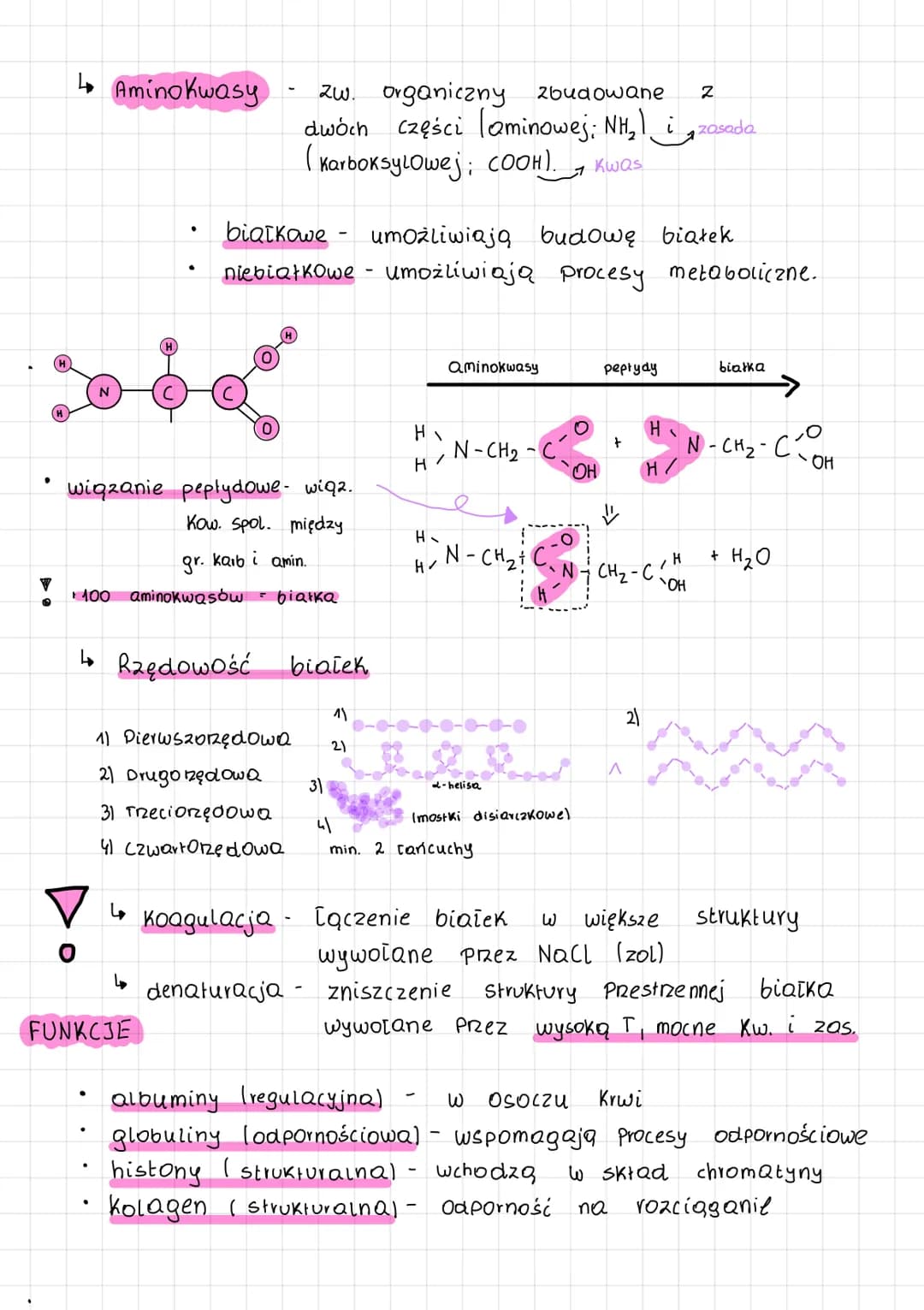 # CHEMIZM ŻYCIA
جا mikroelementy i
* hemoglobina!
* żelazo - skt. enzymów oddechowych.
* SKI. hemu, transport tlenu
* Synteza A