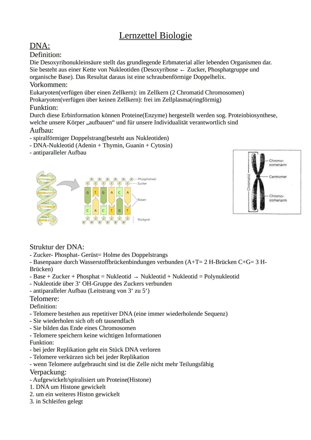 Lernzettel Biologie
DNA:
Definition:
Die Desoxyribonukleinsäure stellt das grundlegende Erbmaterial aller lebenden Organismen dar.
Sie best