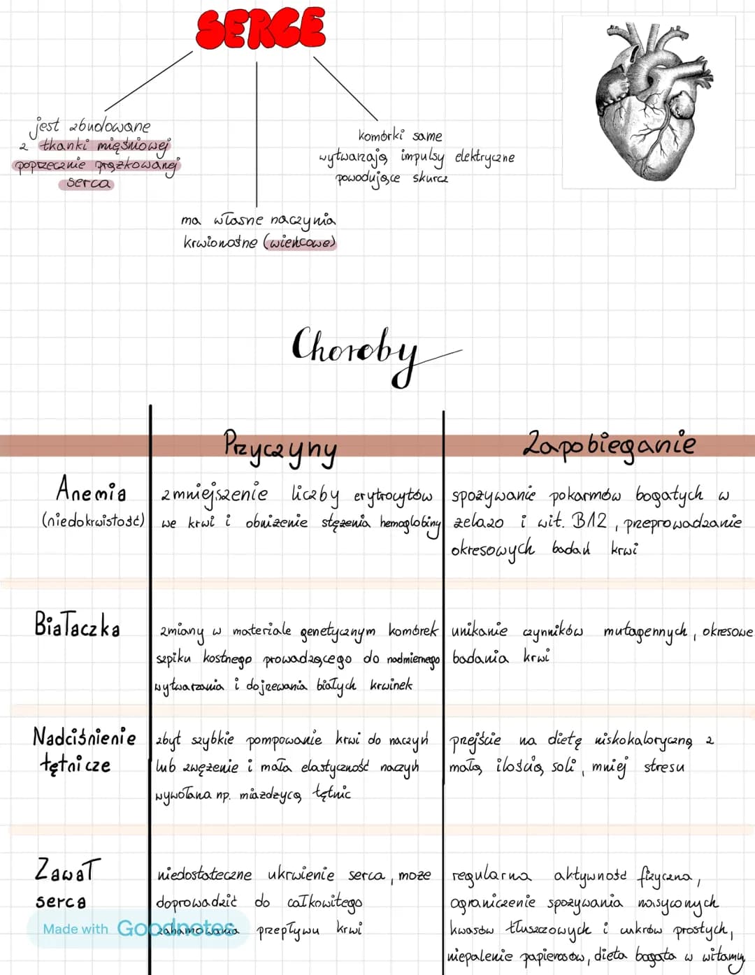 # UKŁAD KRAZENIA
LIMFATYCZNY
* zbudowany jest 2
→ limfy krogzacej w
naczyniack limfatycznych
* szpiku kostnego wytwarzajoxegn